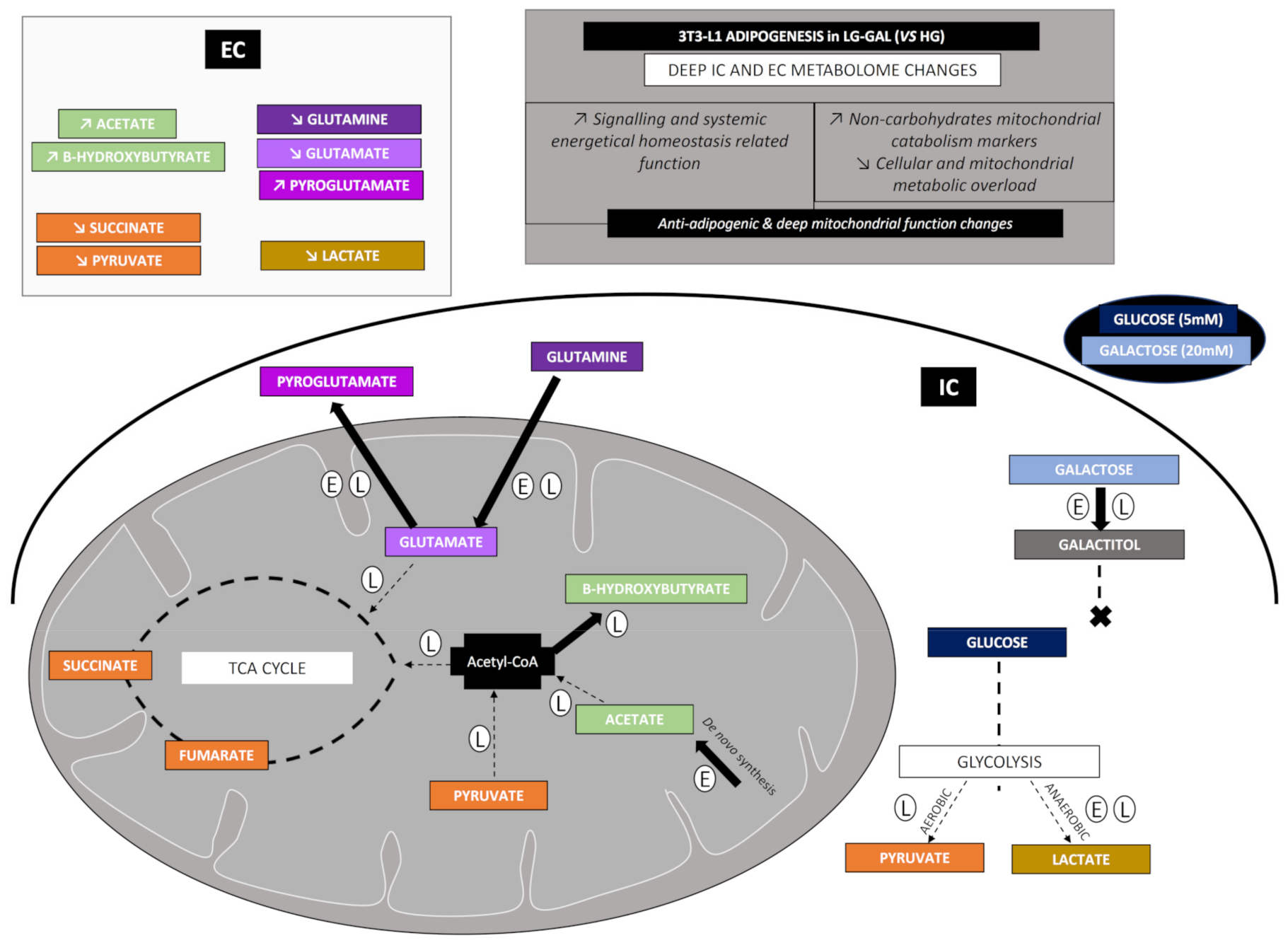 Biomolecules 11 00662 g007