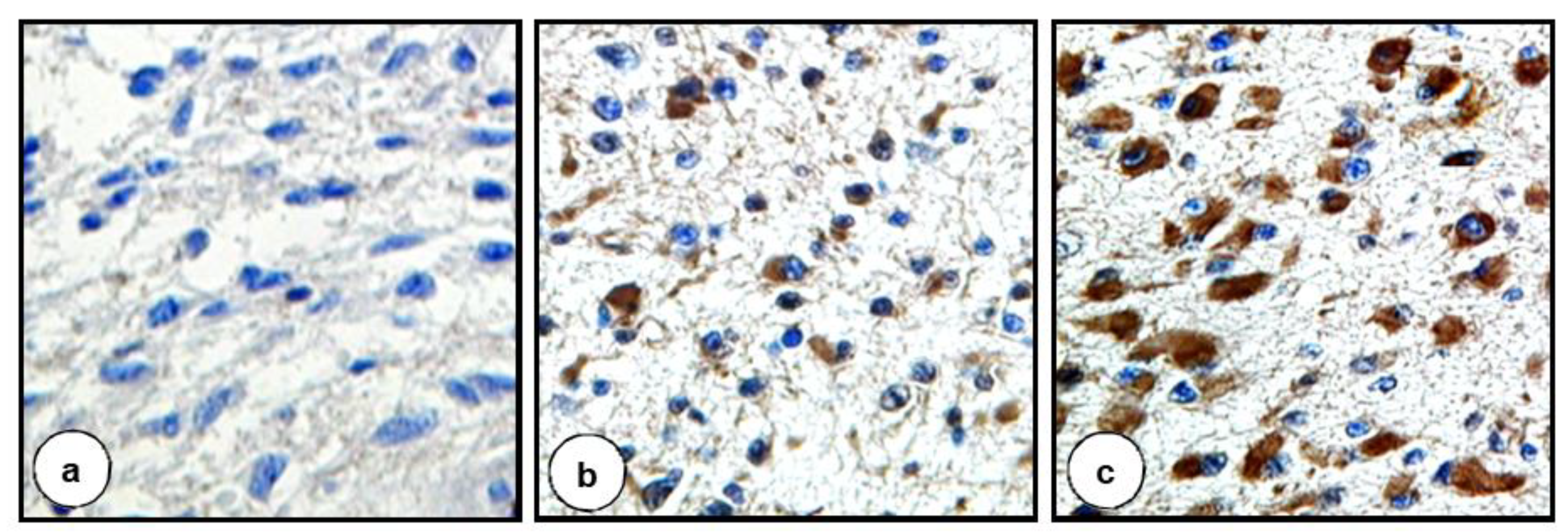 Biomolecules 11 00663 g001 Biomolecules 11 00663 g001
