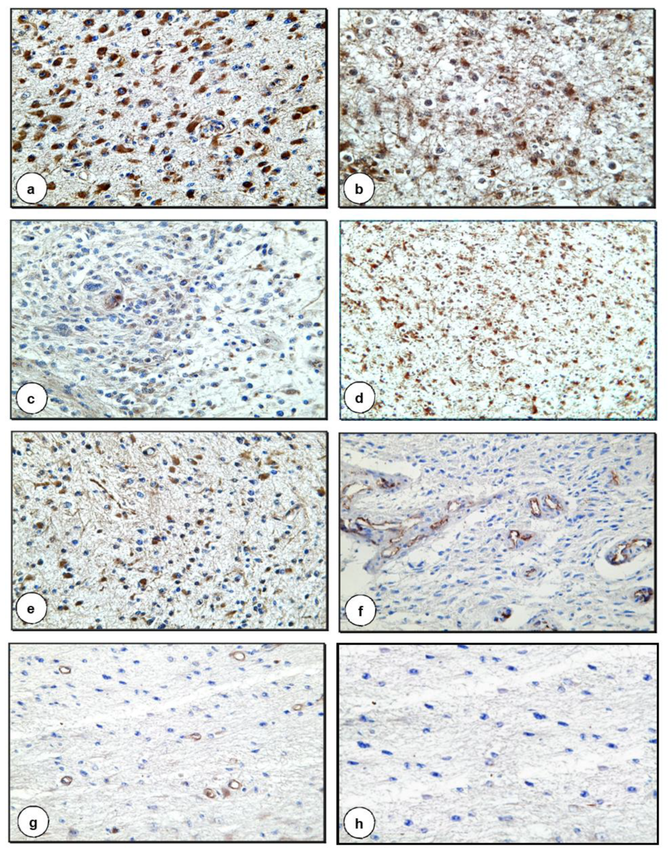 Biomolecules 11 00663 g002 Biomolecules 11 00663 g002