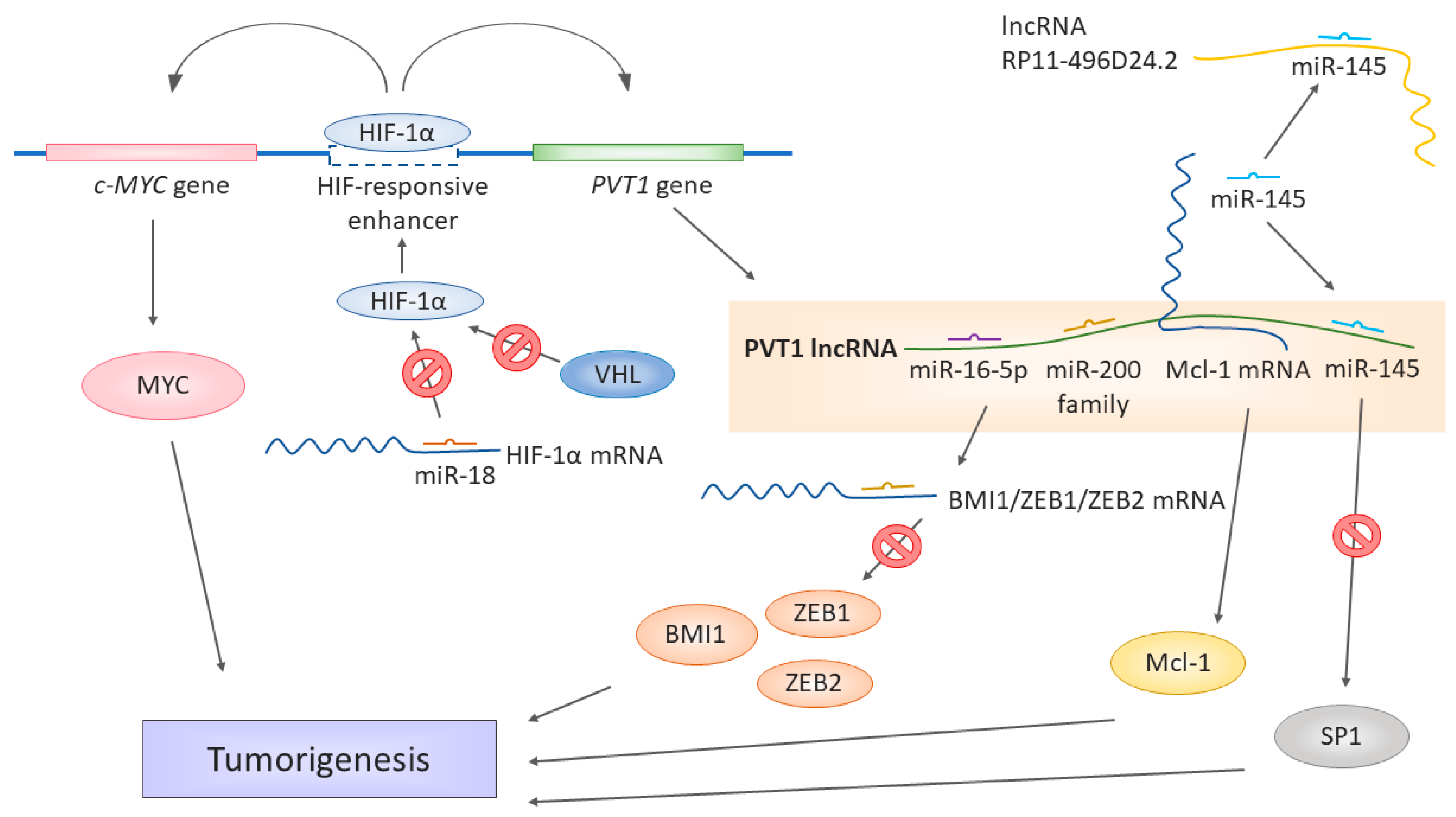 Biomolecules 11 00664 g001 Biomolecules 11 00664 g001