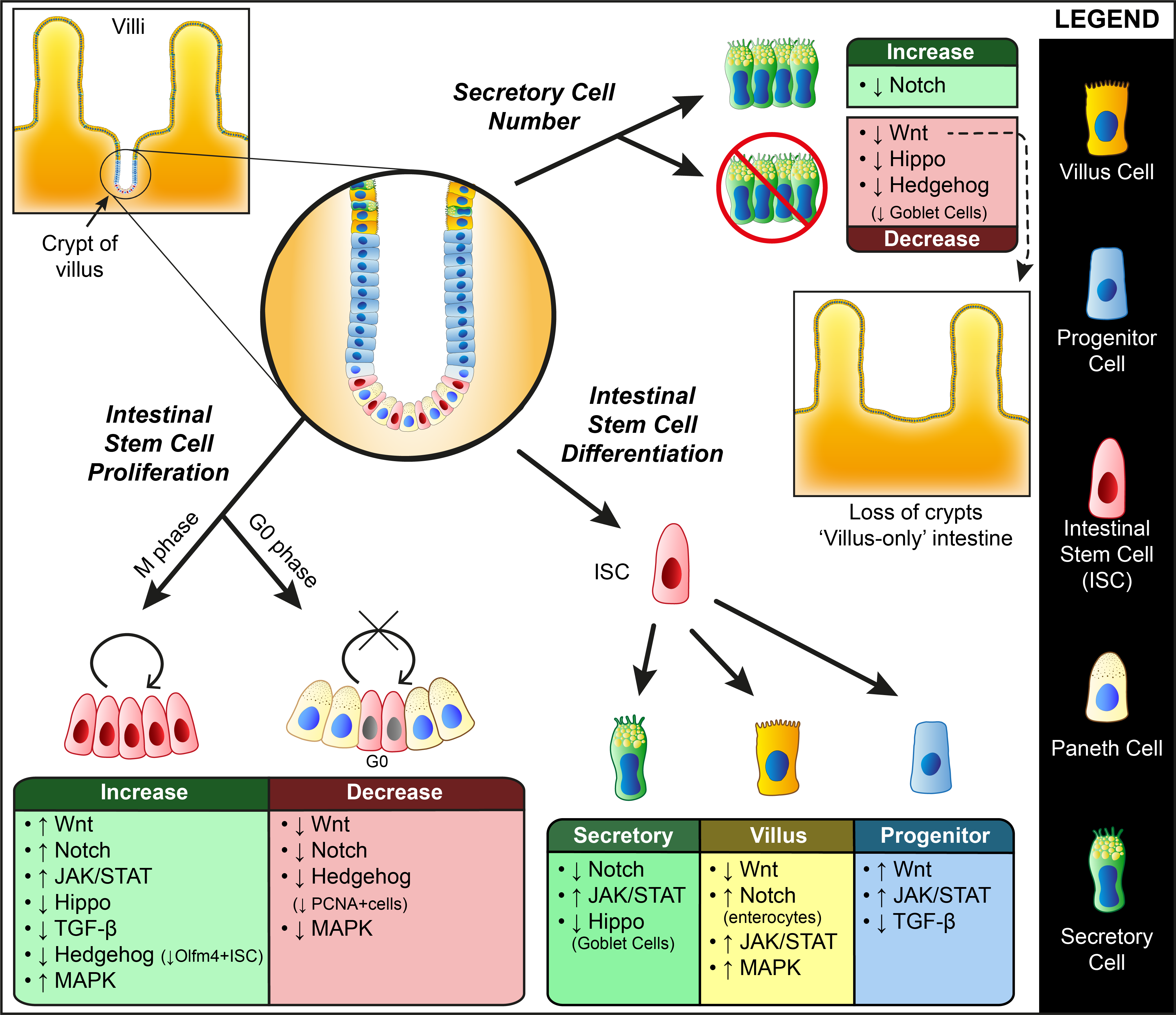 Biomolecules 11 00667 g001 Biomolecules 11 00667 g001