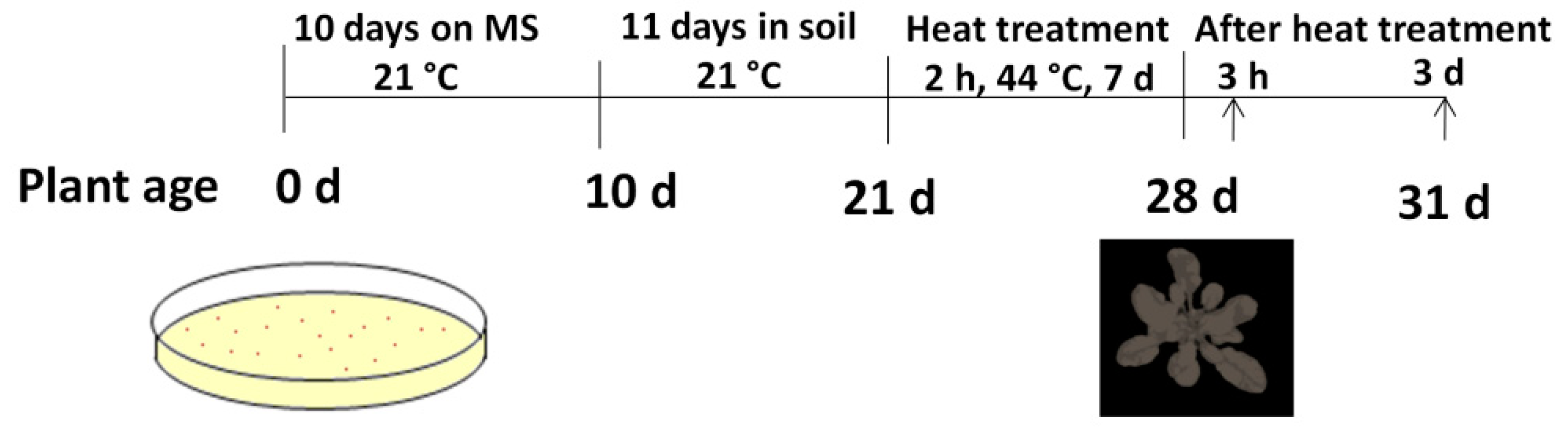 Biomolecules 11 00668 g001