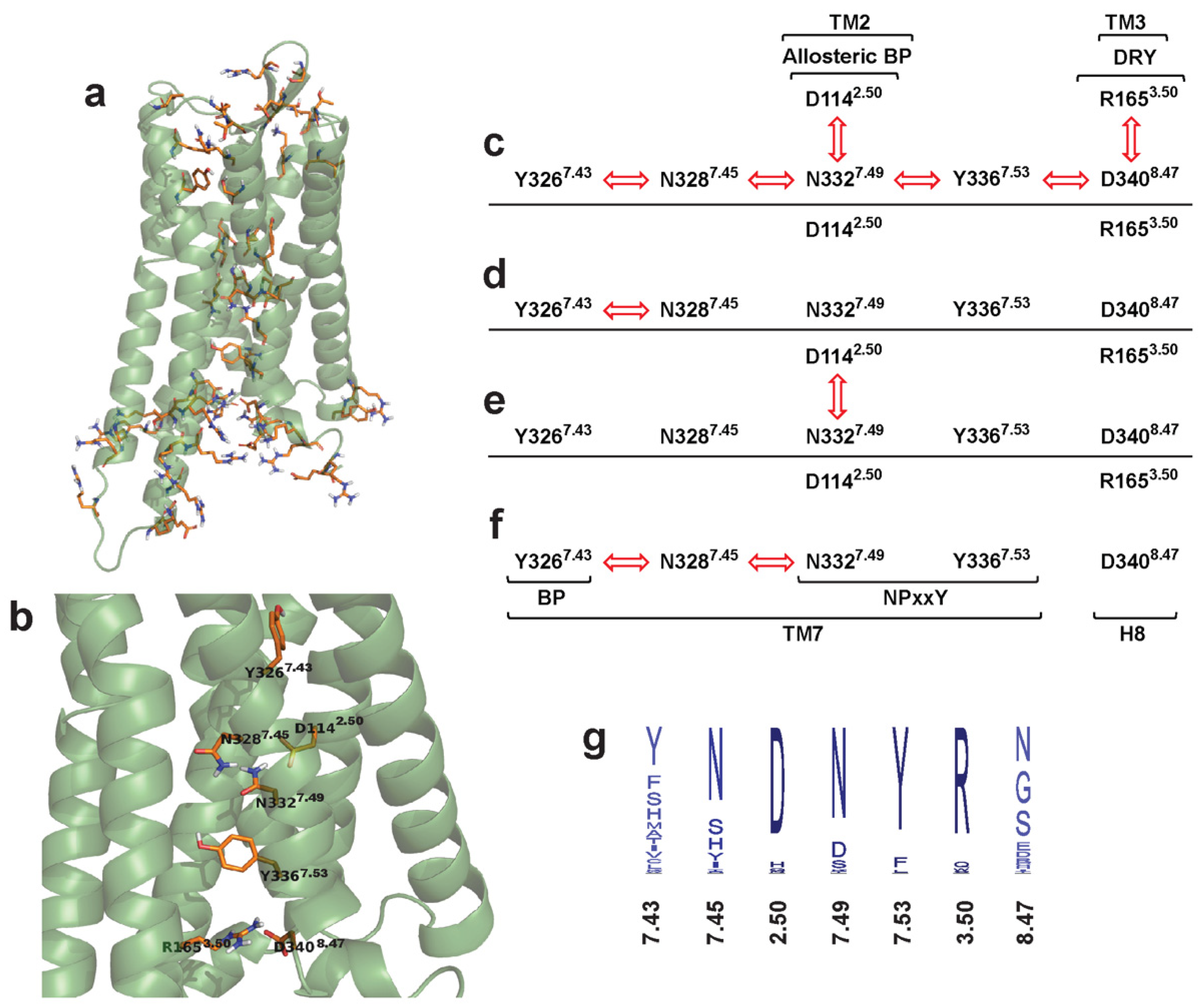 Biomolecules 11 00670 g003 Biomolecules 11 00670 g003