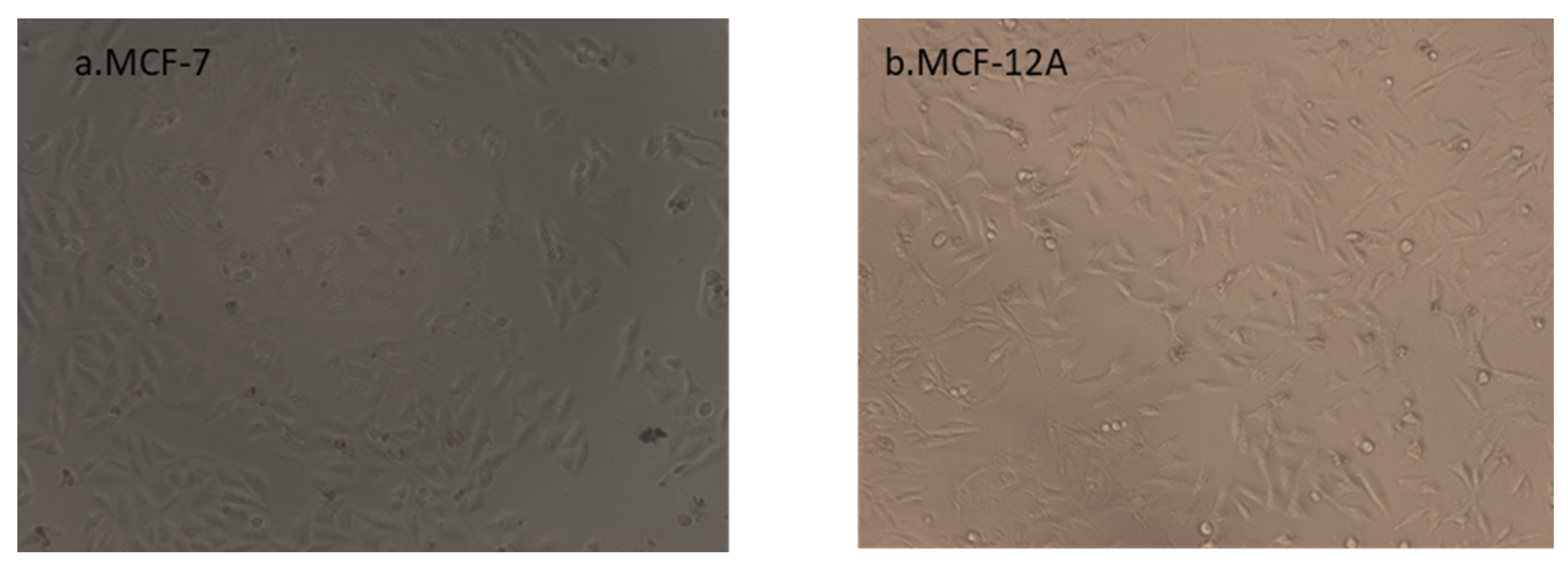 Biomolecules 11 00671 g001 Biomolecules 11 00671 g001