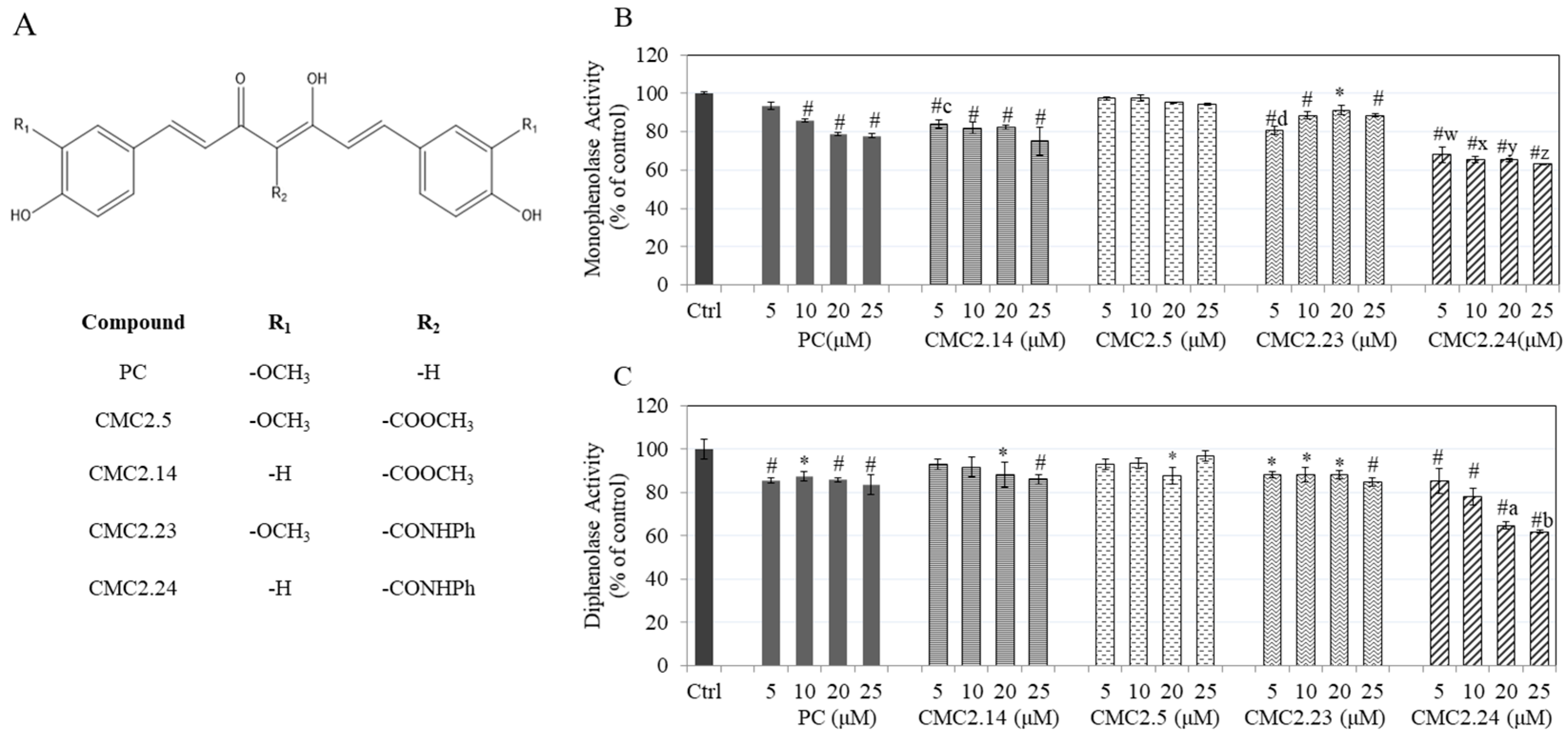 Biomolecules 11 00674 g001