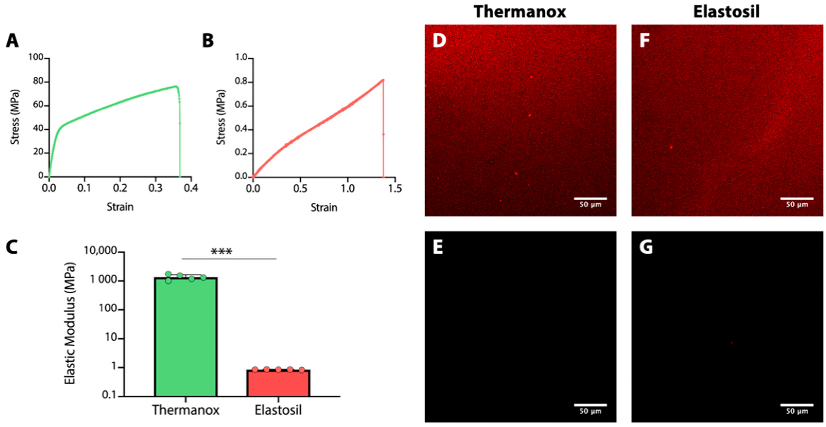 Biomolecules 11 00675 g001 Biomolecules 11 00675 g001
