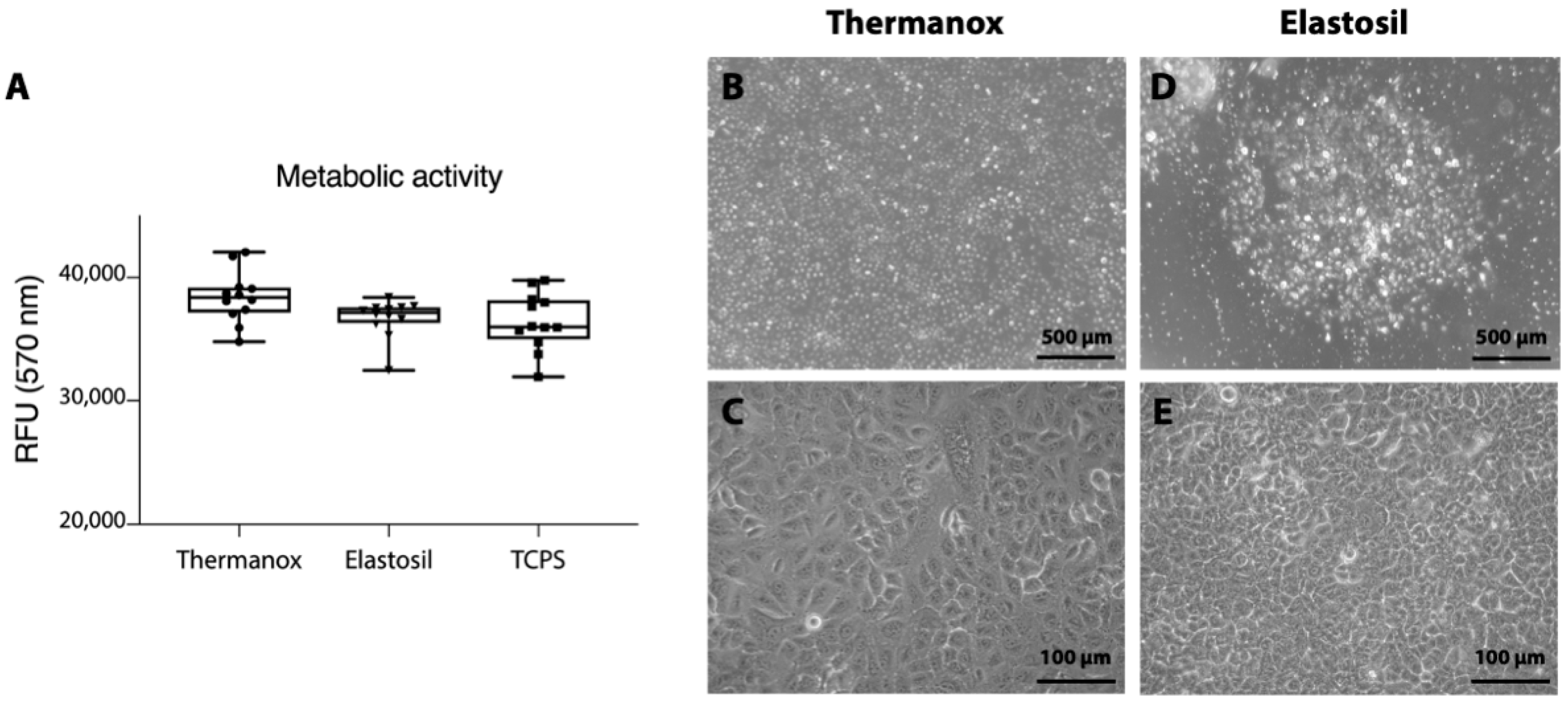 Biomolecules 11 00675 g002 Biomolecules 11 00675 g002