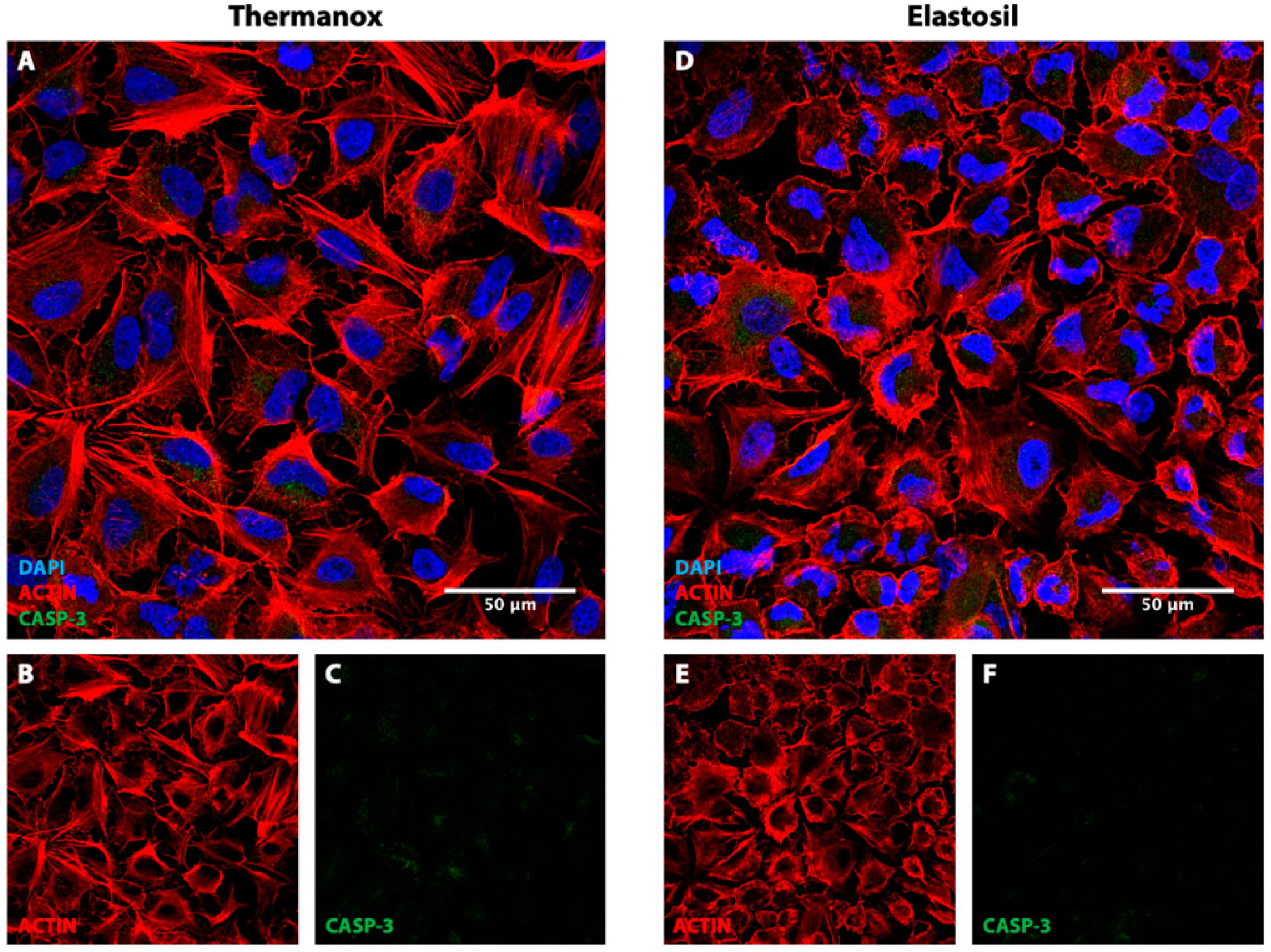 Biomolecules 11 00675 g004 Biomolecules 11 00675 g004