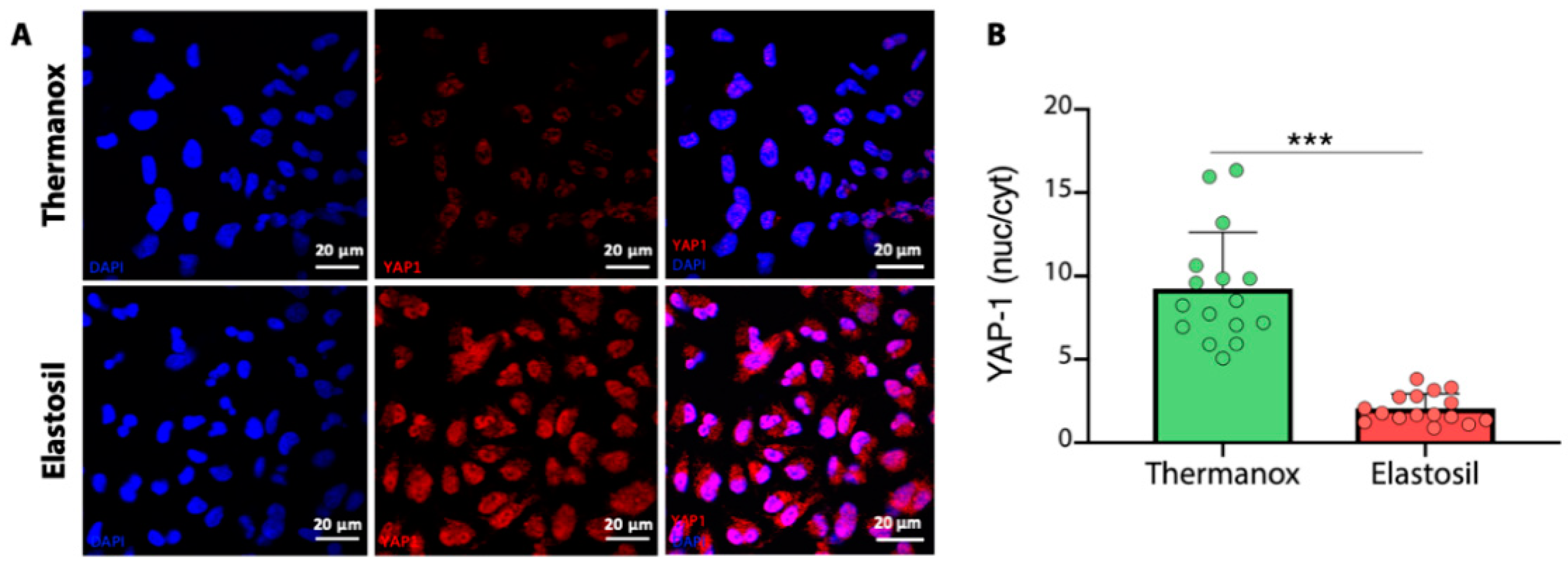 Biomolecules 11 00675 g006 Biomolecules 11 00675 g006