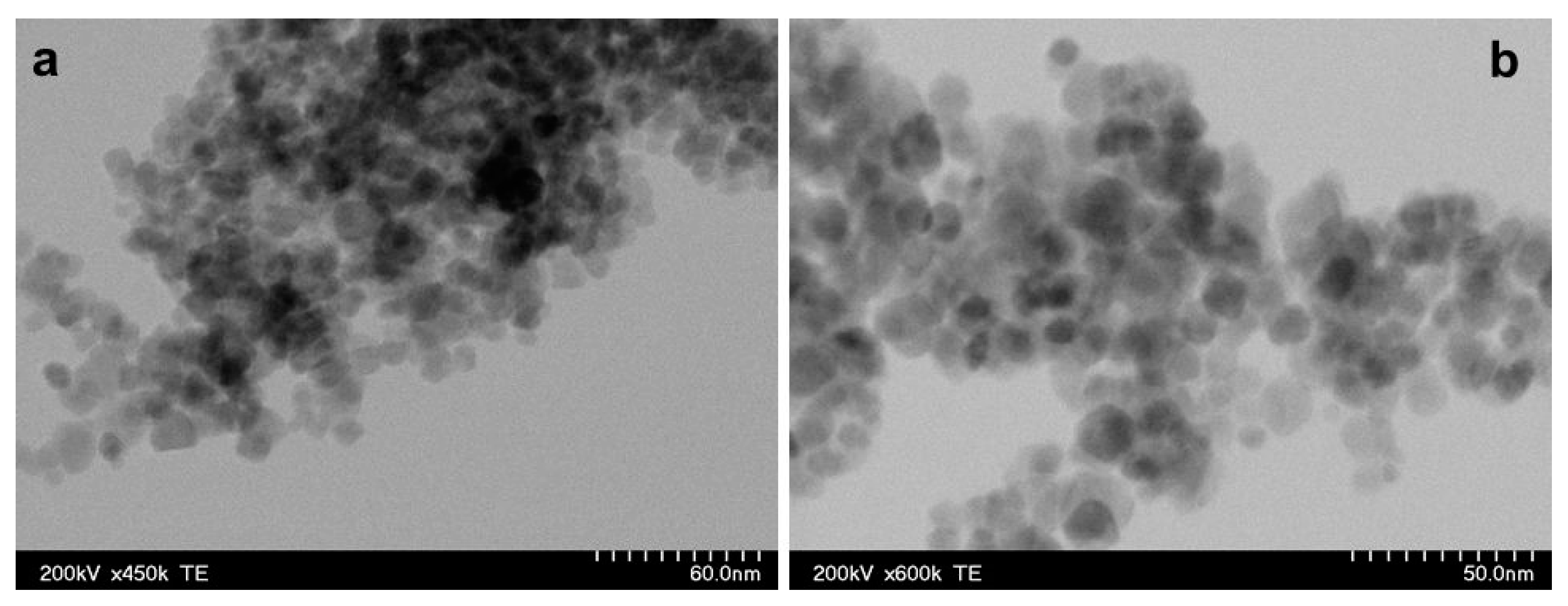 Biomolecules 11 00676 g002