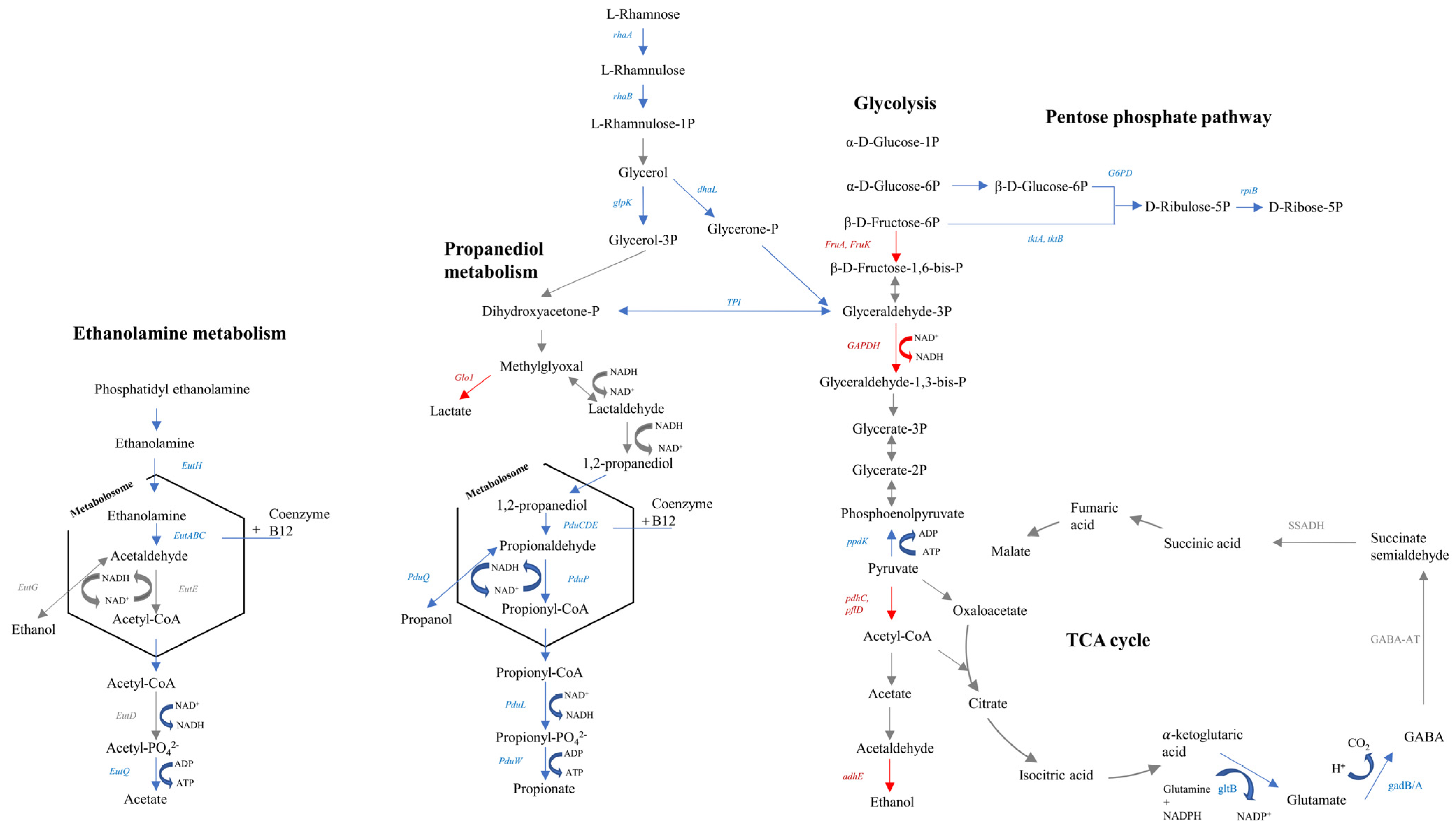 Biomolecules 11 00677 g003 Biomolecules 11 00677 g003