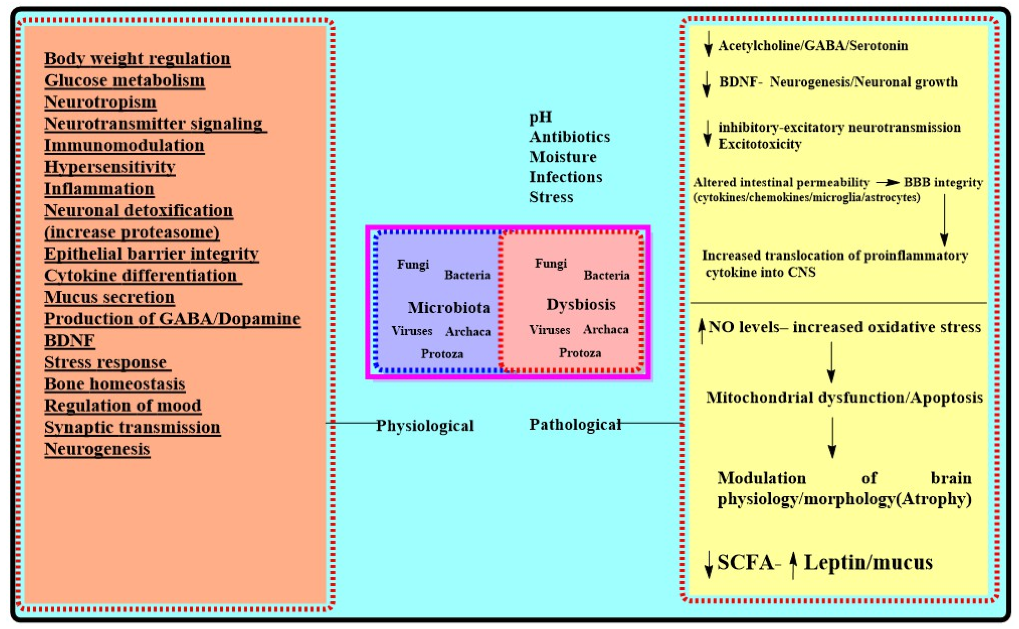 Biomolecules 11 00678 g001 Biomolecules 11 00678 g001
