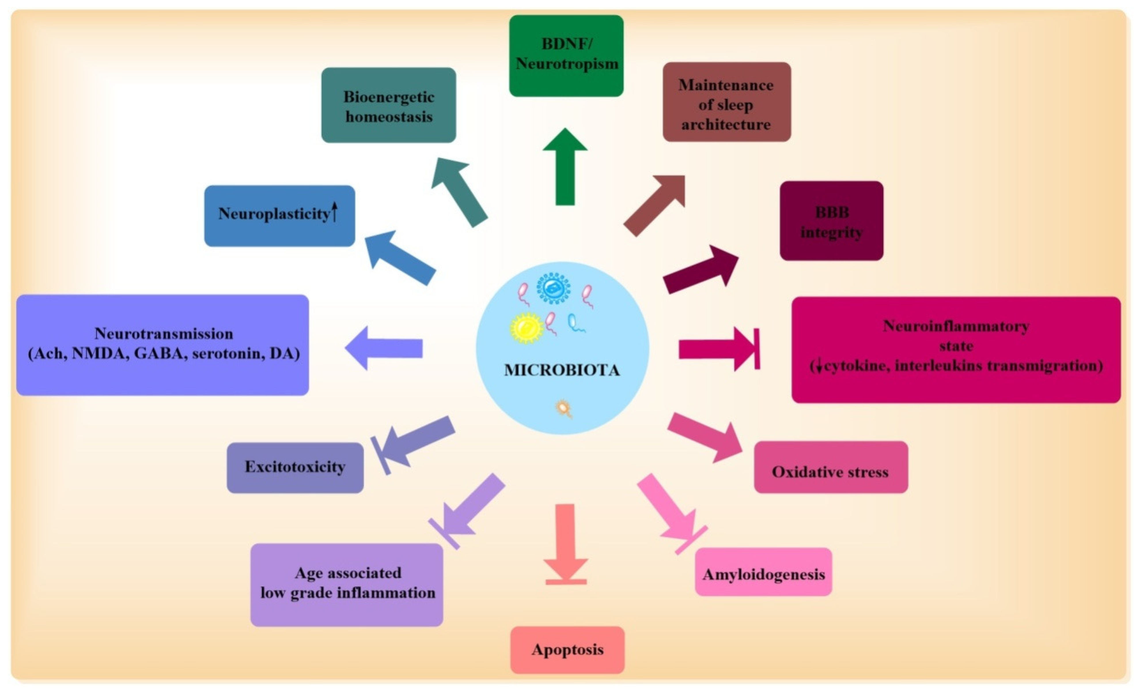 Biomolecules 11 00678 g002 Biomolecules 11 00678 g002