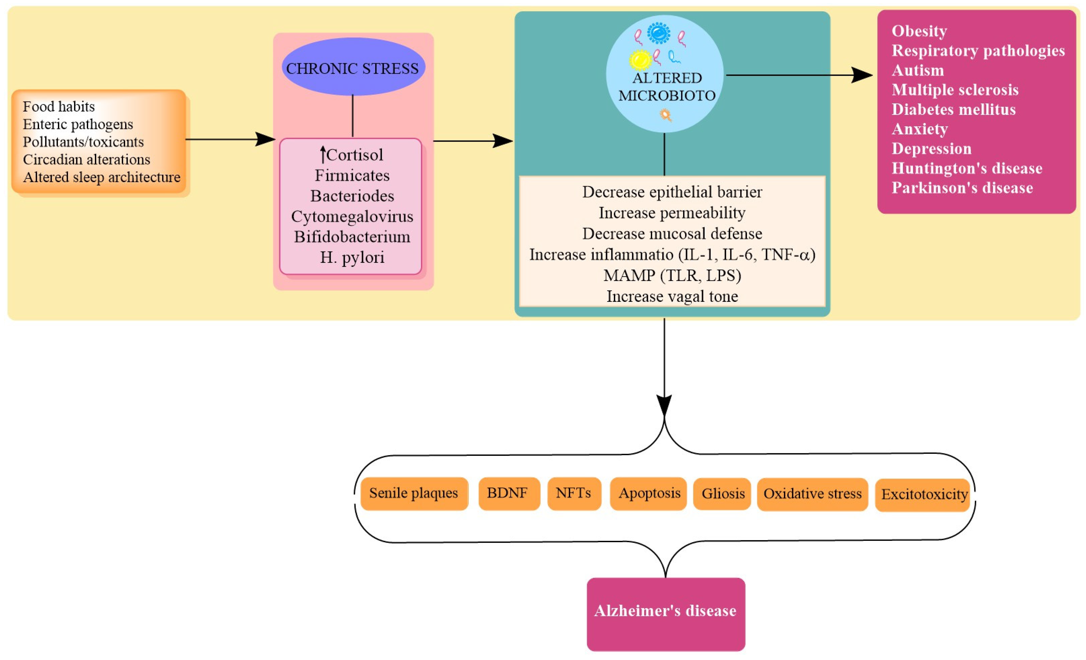 Biomolecules 11 00678 g003 Biomolecules 11 00678 g003