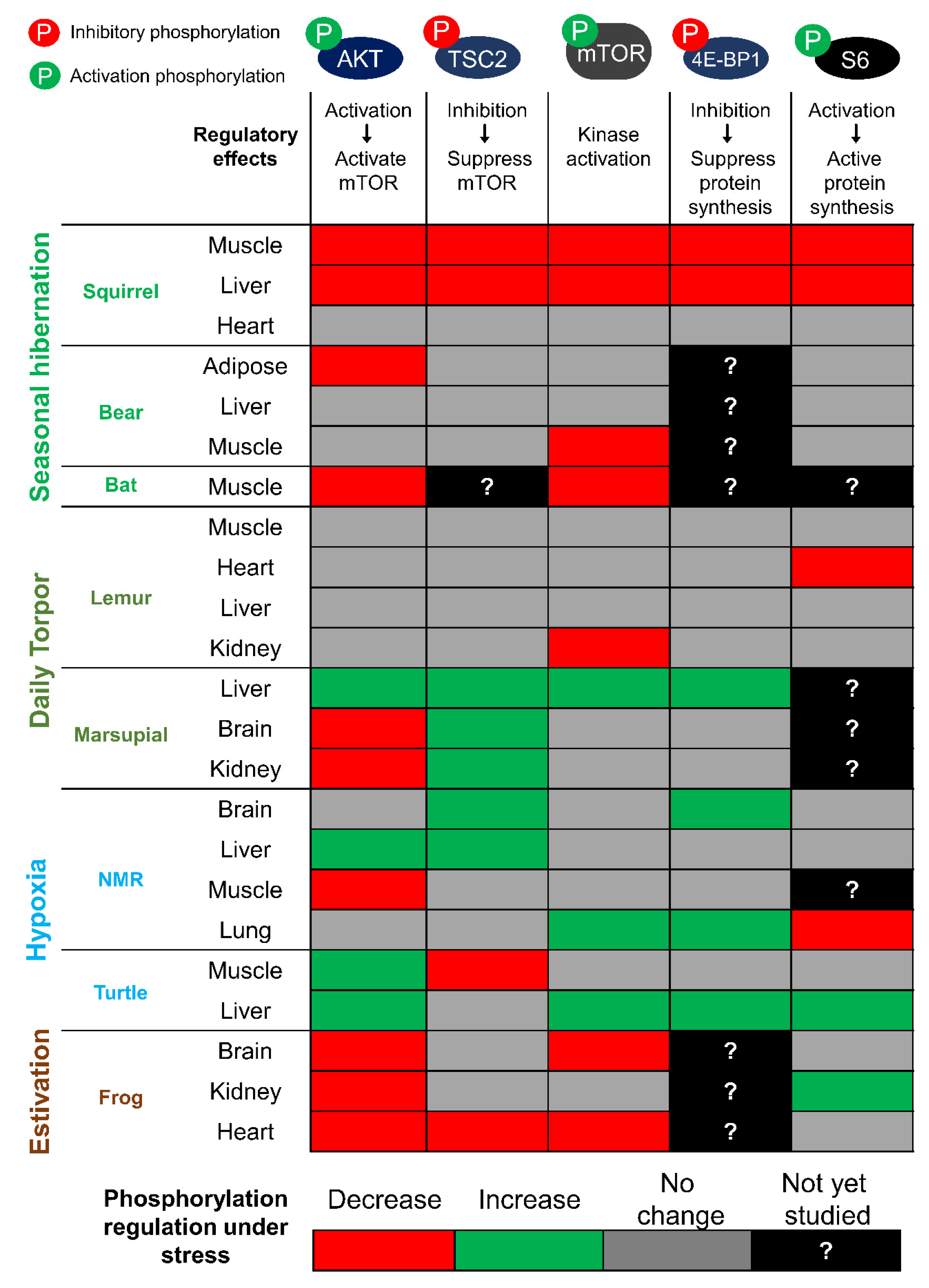 Biomolecules 11 00681 g002