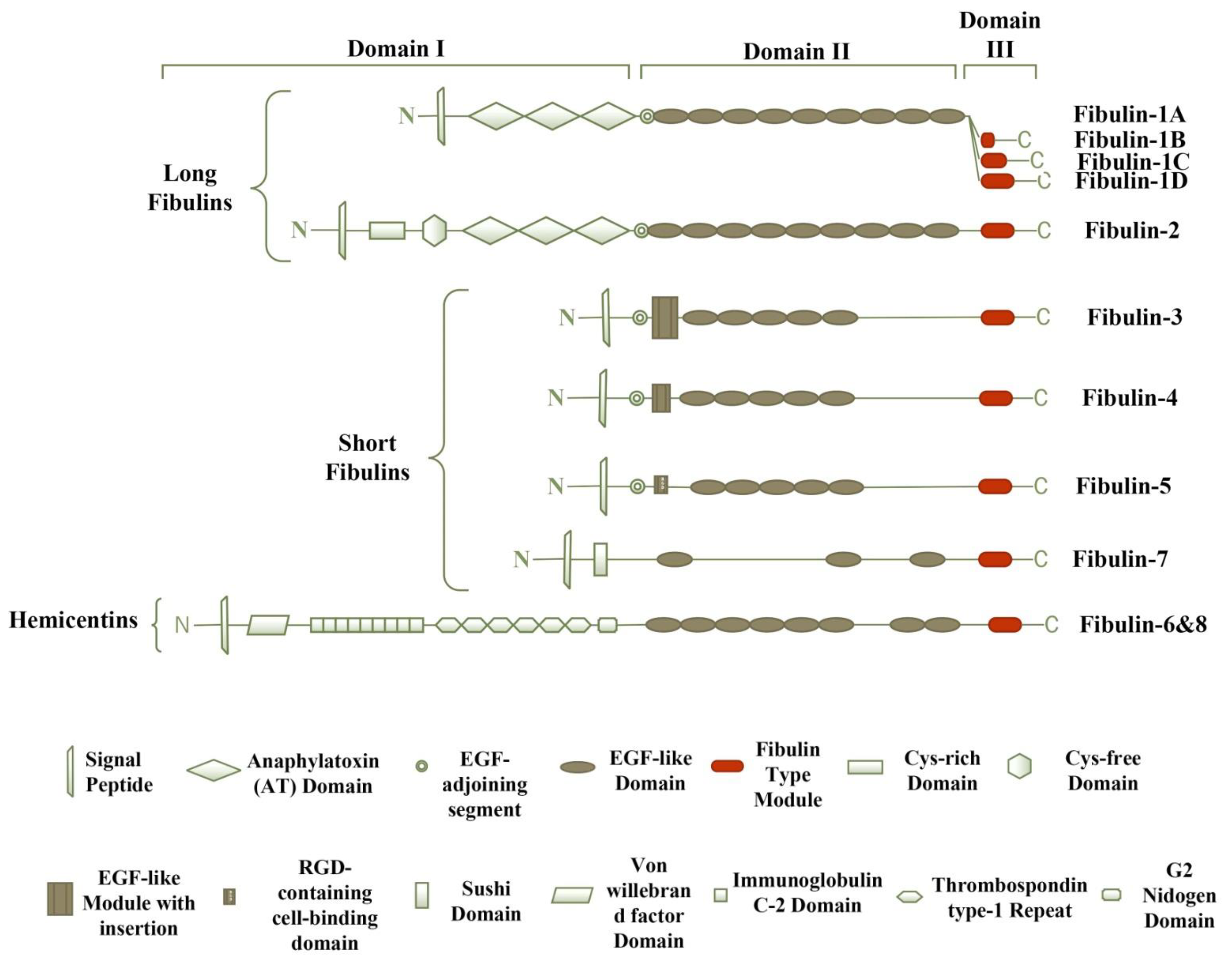 Biomolecules 11 00685 g001