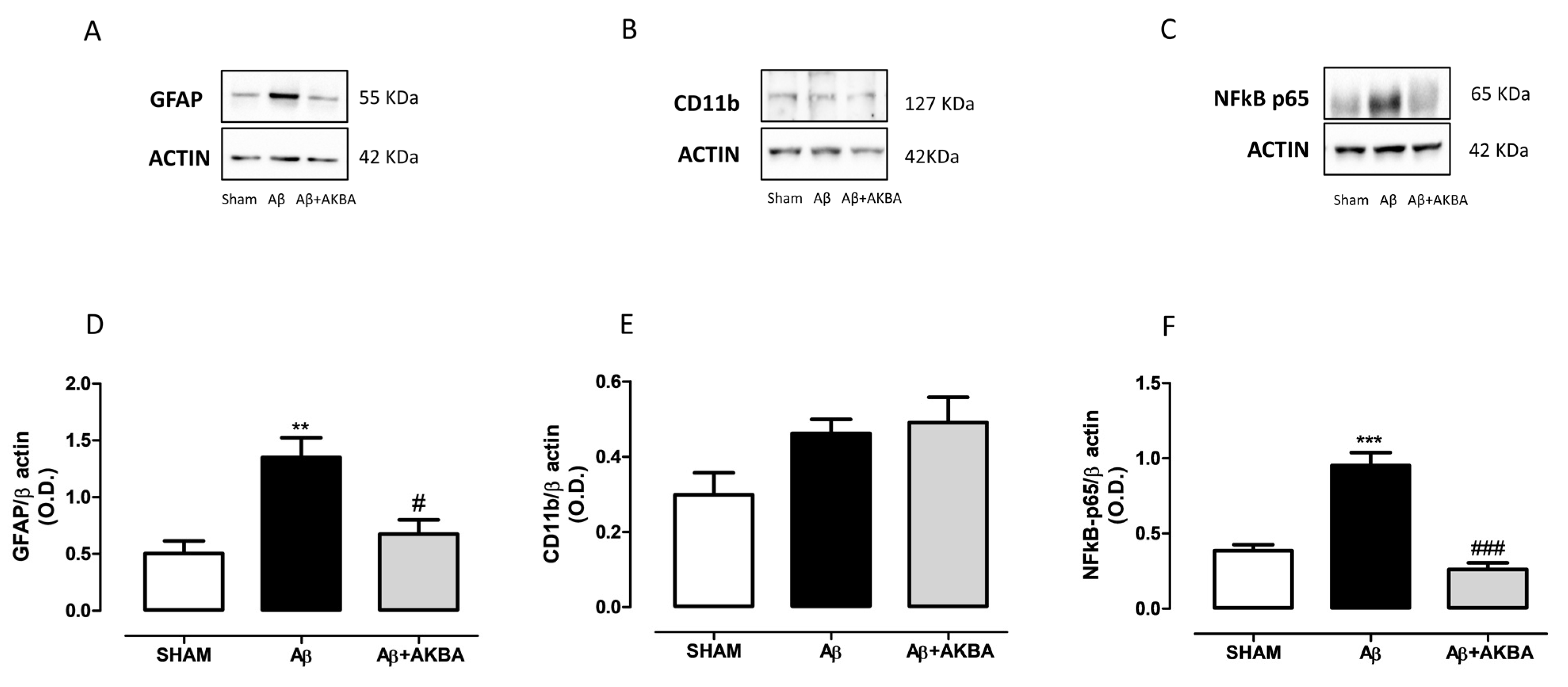 Biomolecules Free Full Text Sublingual Akba Exerts Antidepressant Effects In The Ab Treated Mouse Model Html