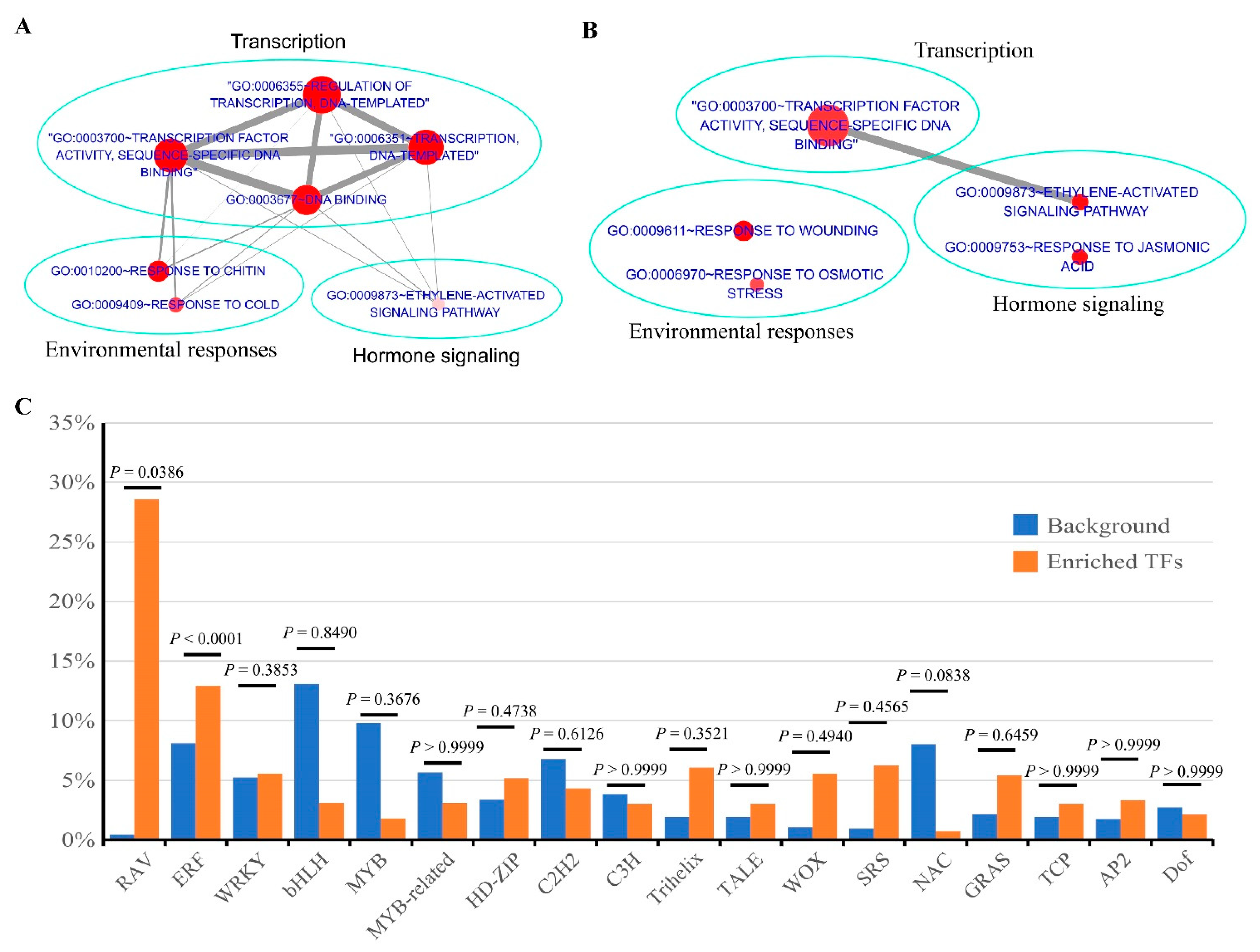 Biomolecules 11 00688 g004 Biomolecules 11 00688 g004