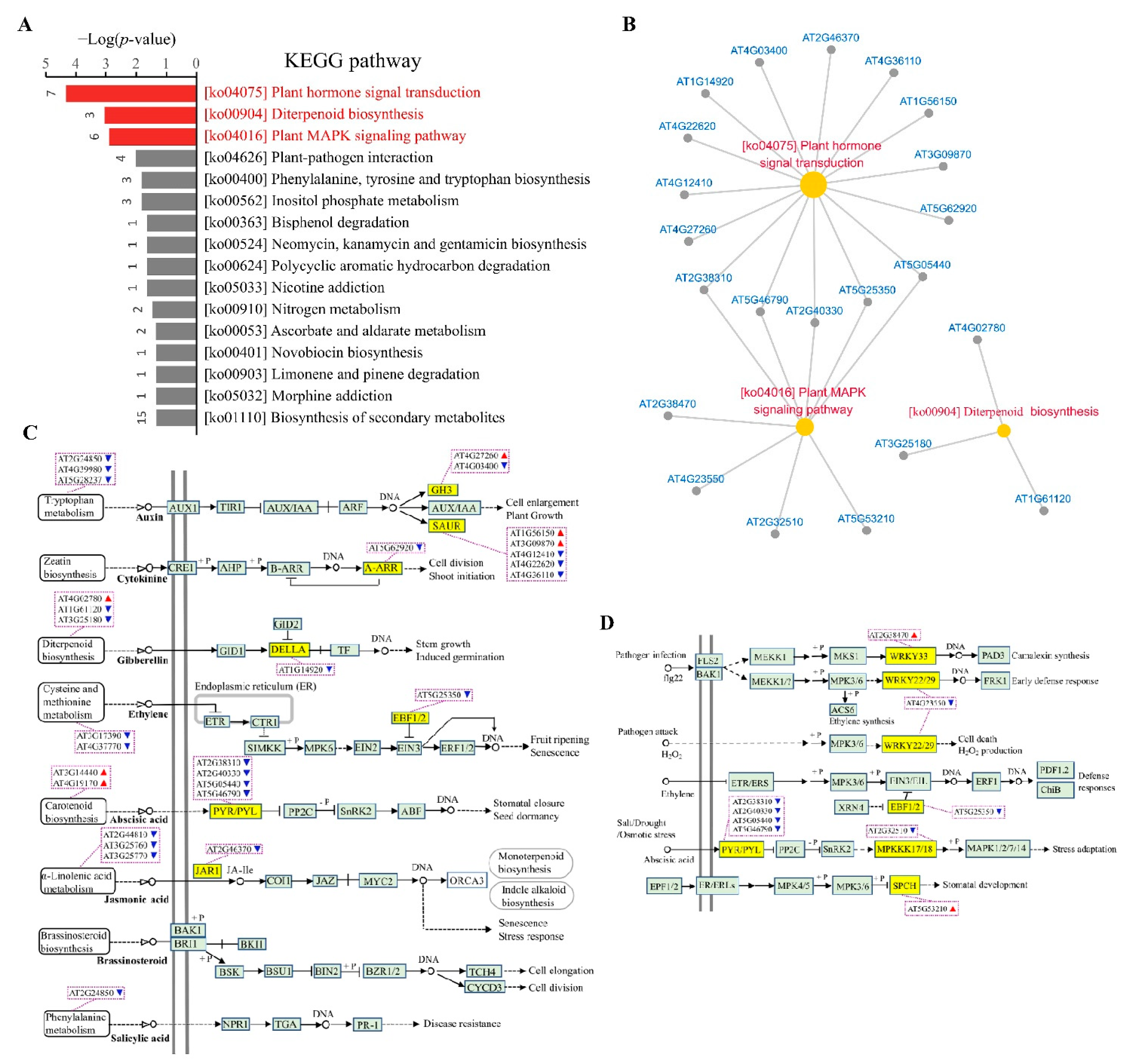Biomolecules 11 00688 g005 Biomolecules 11 00688 g005