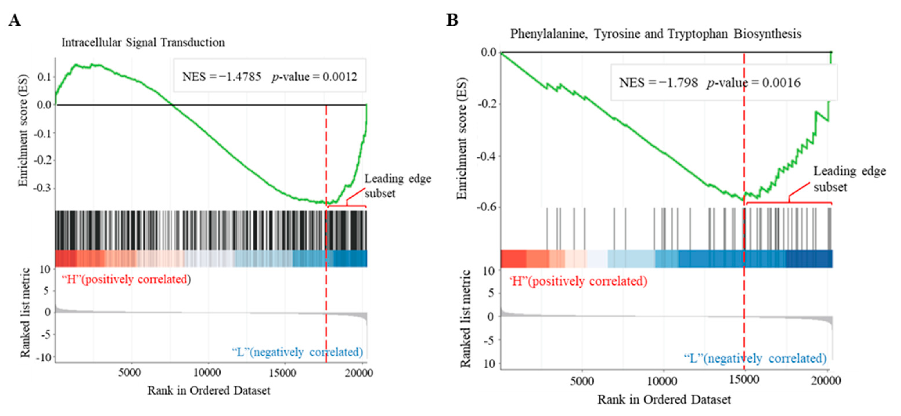 Biomolecules 11 00688 g006 Biomolecules 11 00688 g006