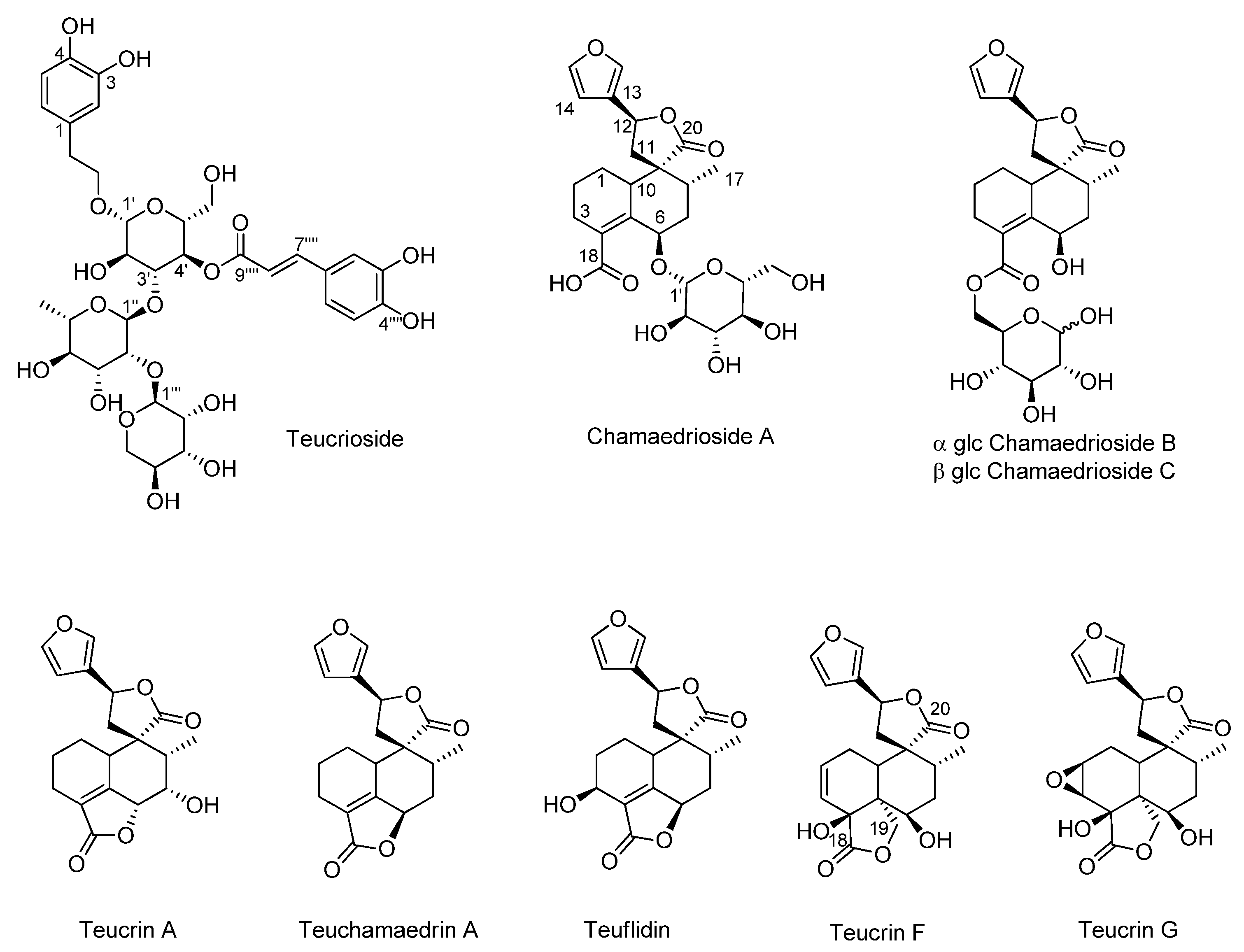 Biomolecules 11 00690 g003 Biomolecules 11 00690 g003