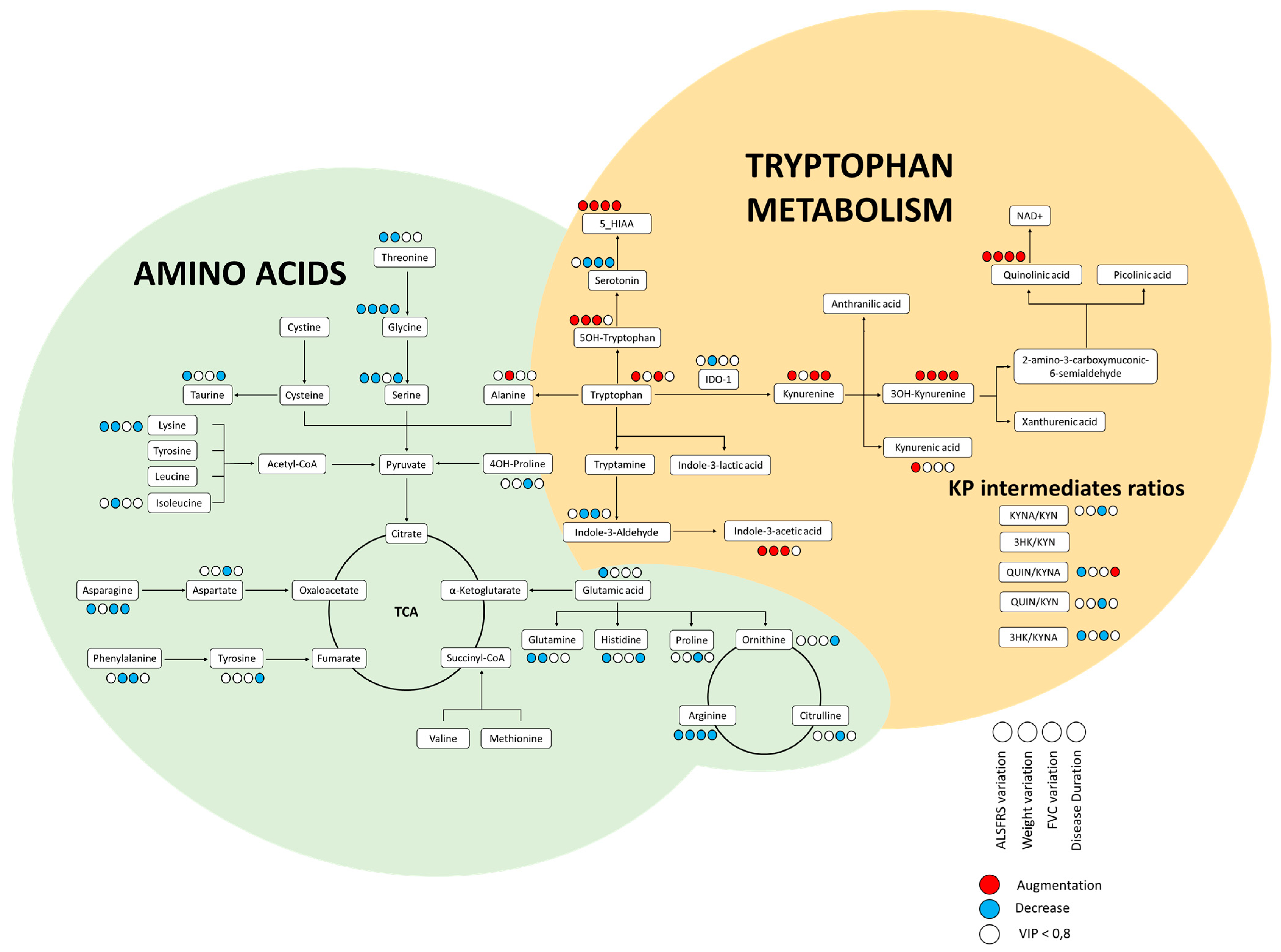Biomolecules 11 00691 g001 Biomolecules 11 00691 g001
