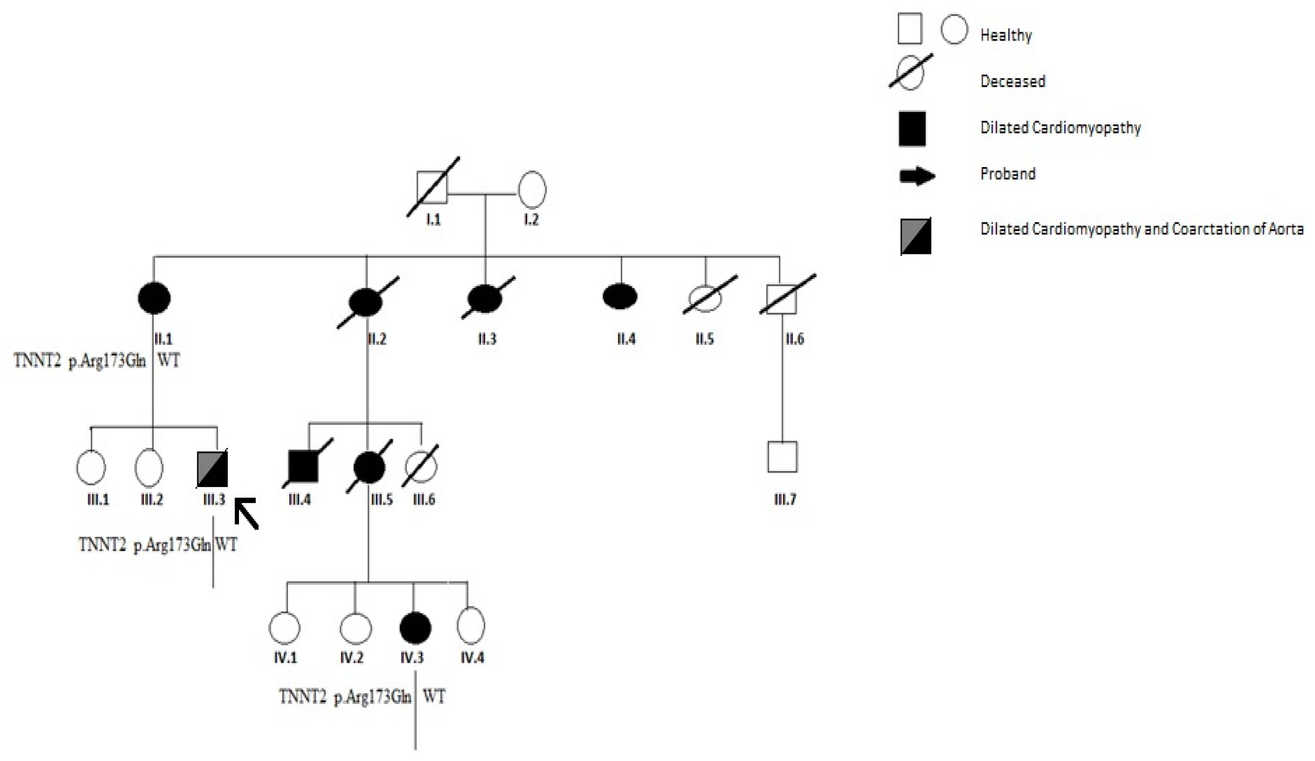 Biomolecules 11 00696 g001 Biomolecules 11 00696 g001