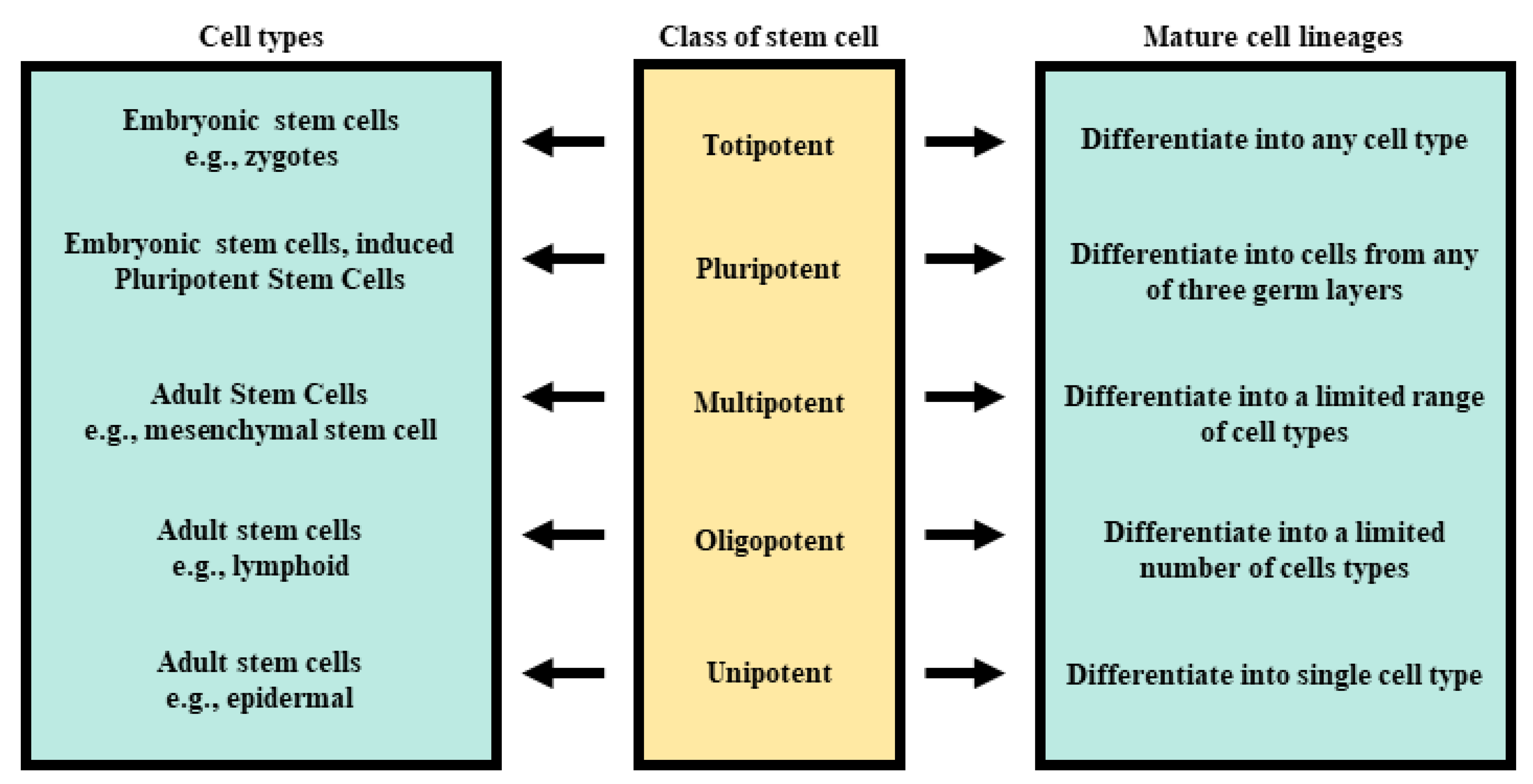 Biomolecules 11 00699 g001 Biomolecules 11 00699 g001