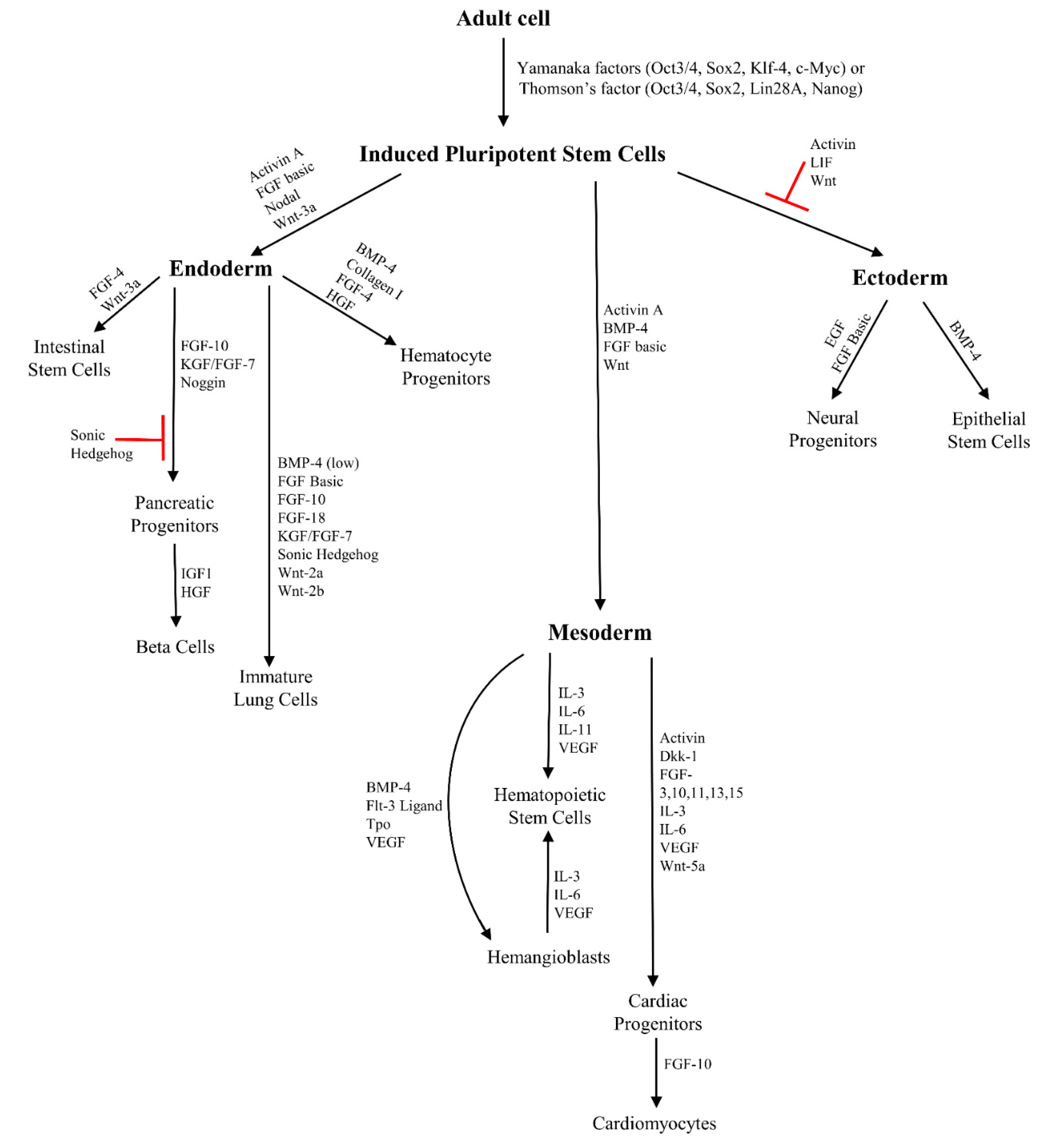 Biomolecules 11 00699 g002 Biomolecules 11 00699 g002