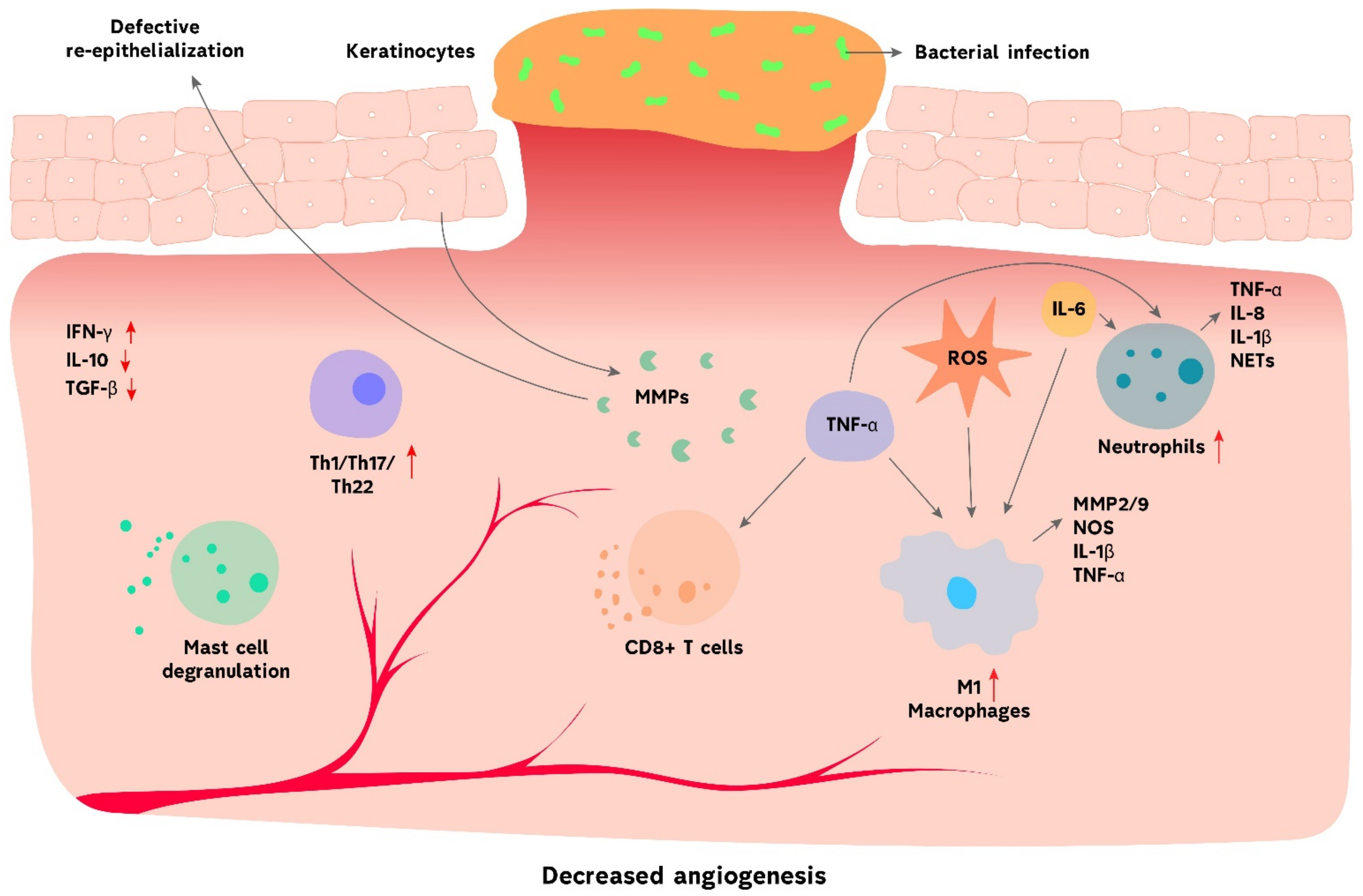 Biomolecules 11 00700 g002