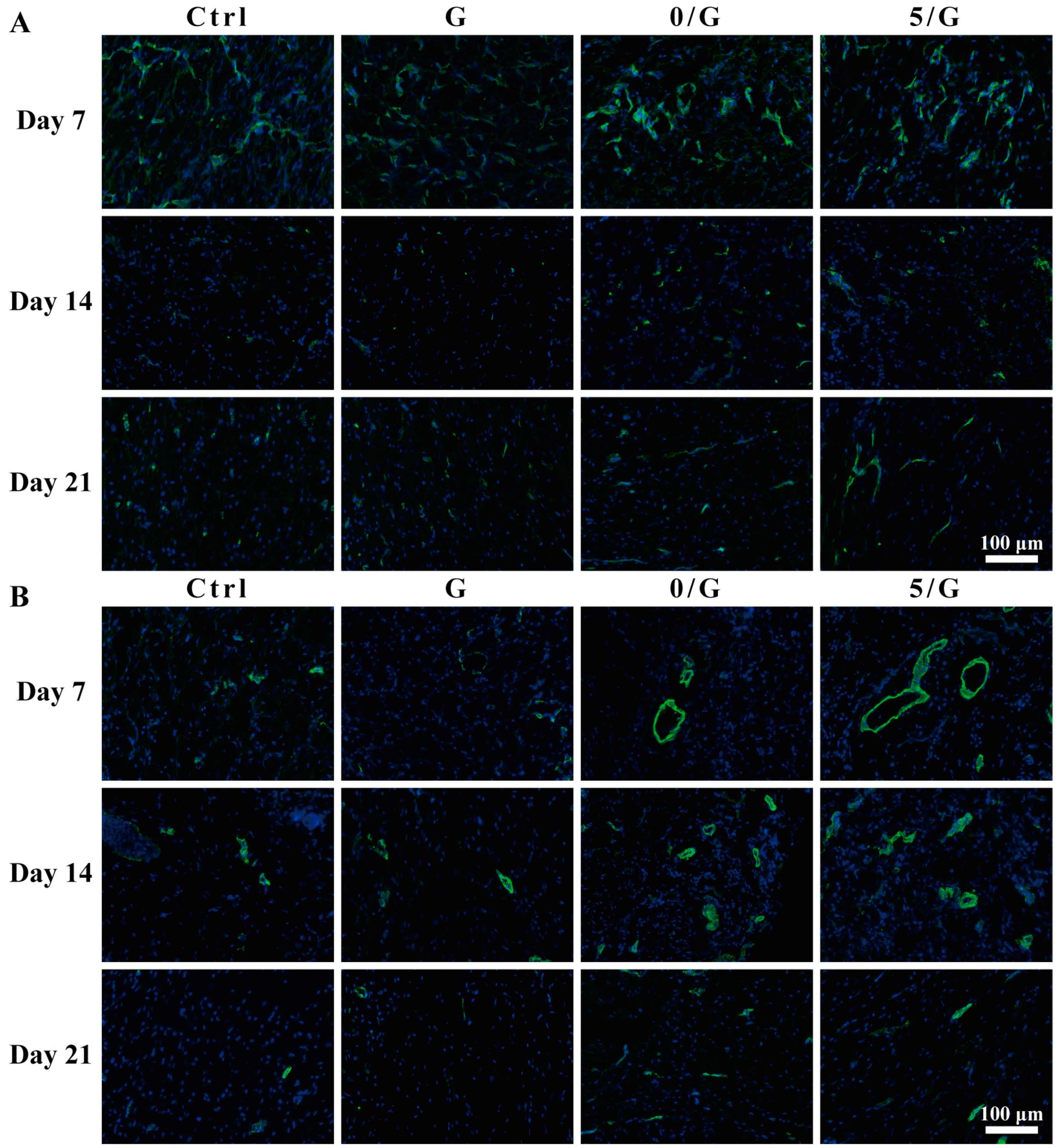 Biomolecules 11 00702 g008