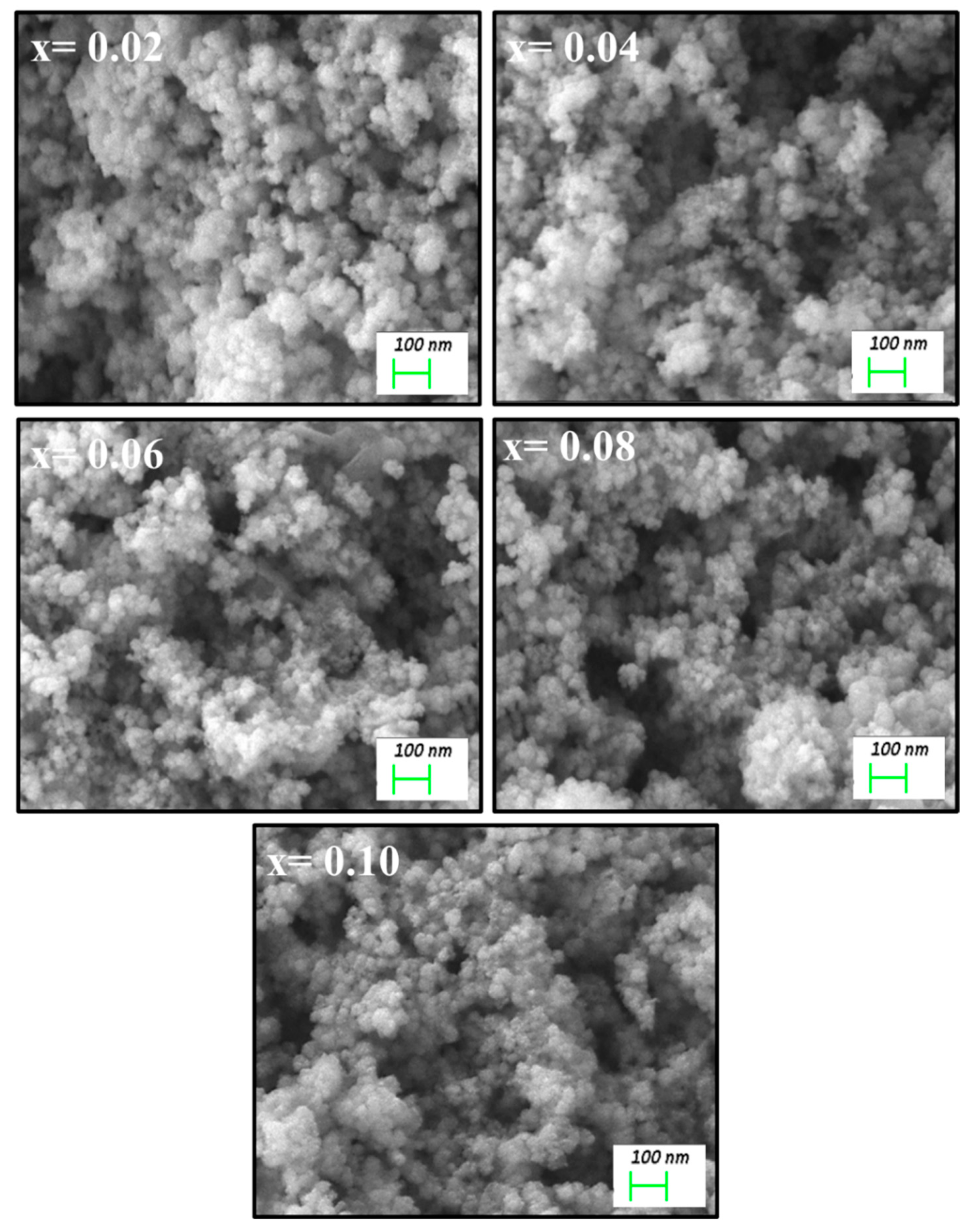 Biomolecules 11 00703 g002a