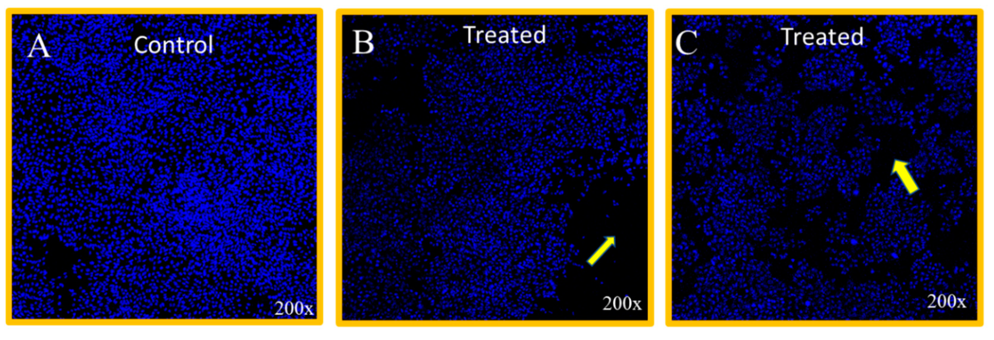 Biomolecules 11 00703 g005