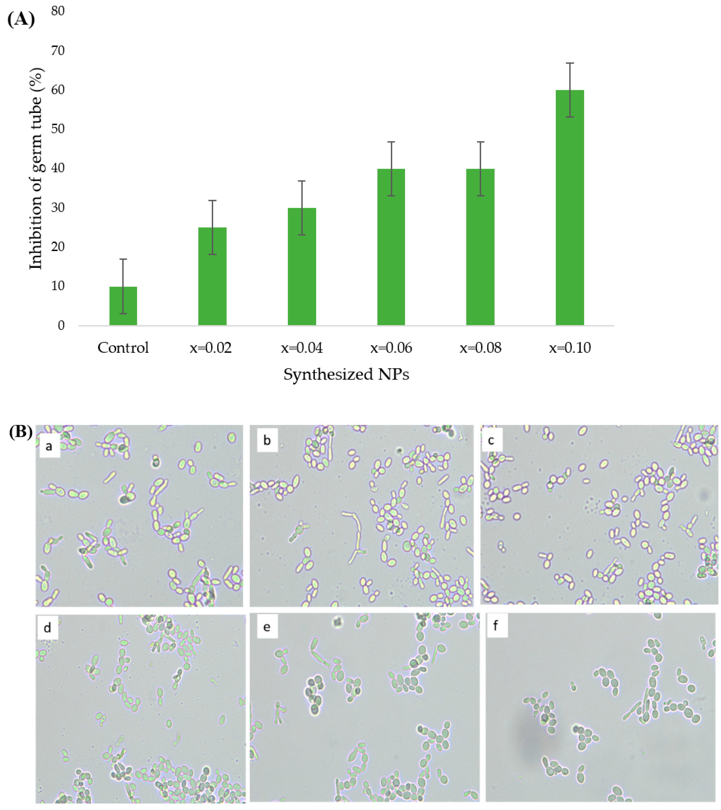 Biomolecules 11 00703 g007
