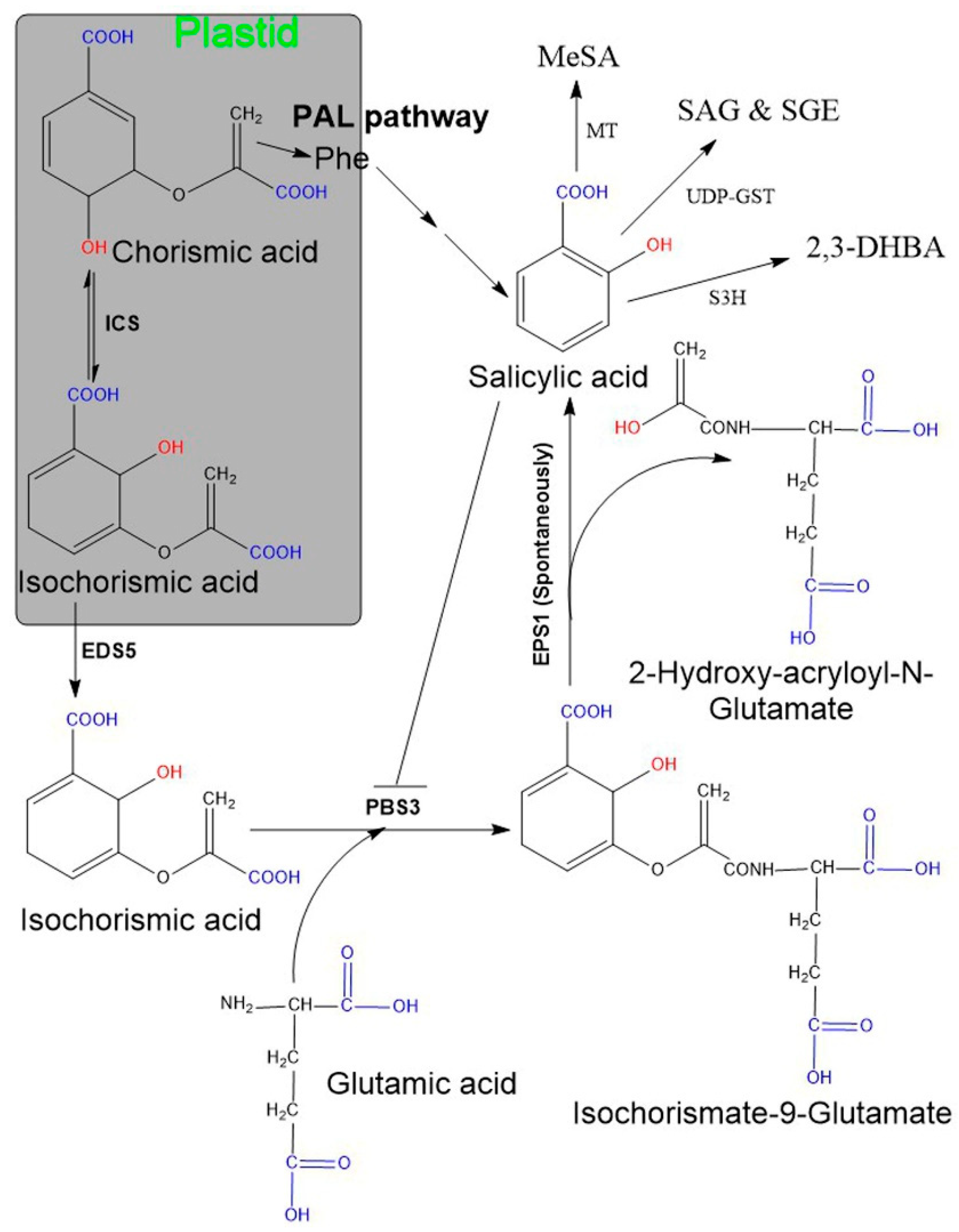 acetylsalicylic acid synthesis mechanism