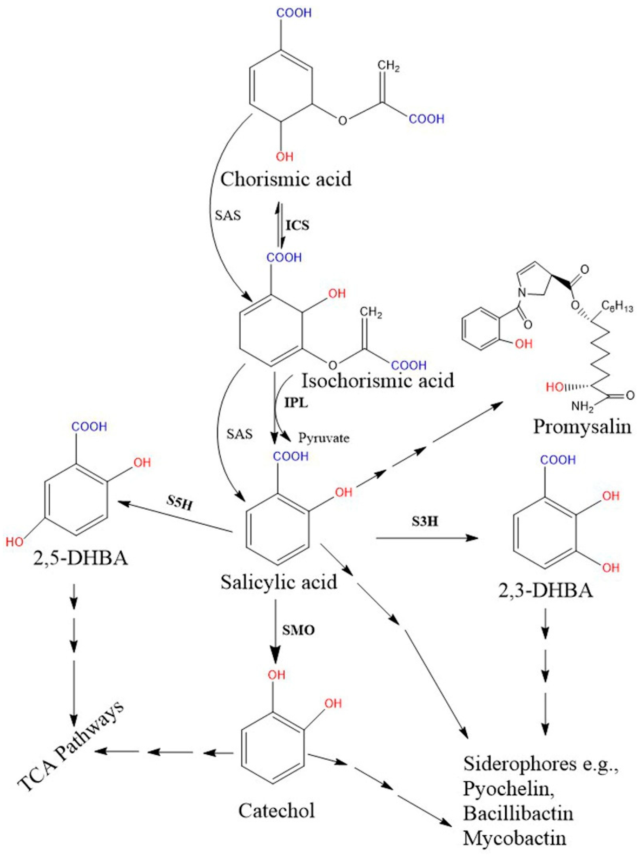 Biomolecules 11 00705 g002