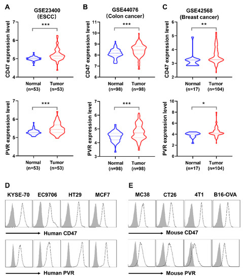 Repositioning Azelnidipine as a Dual Inhibitor Targeting CD47