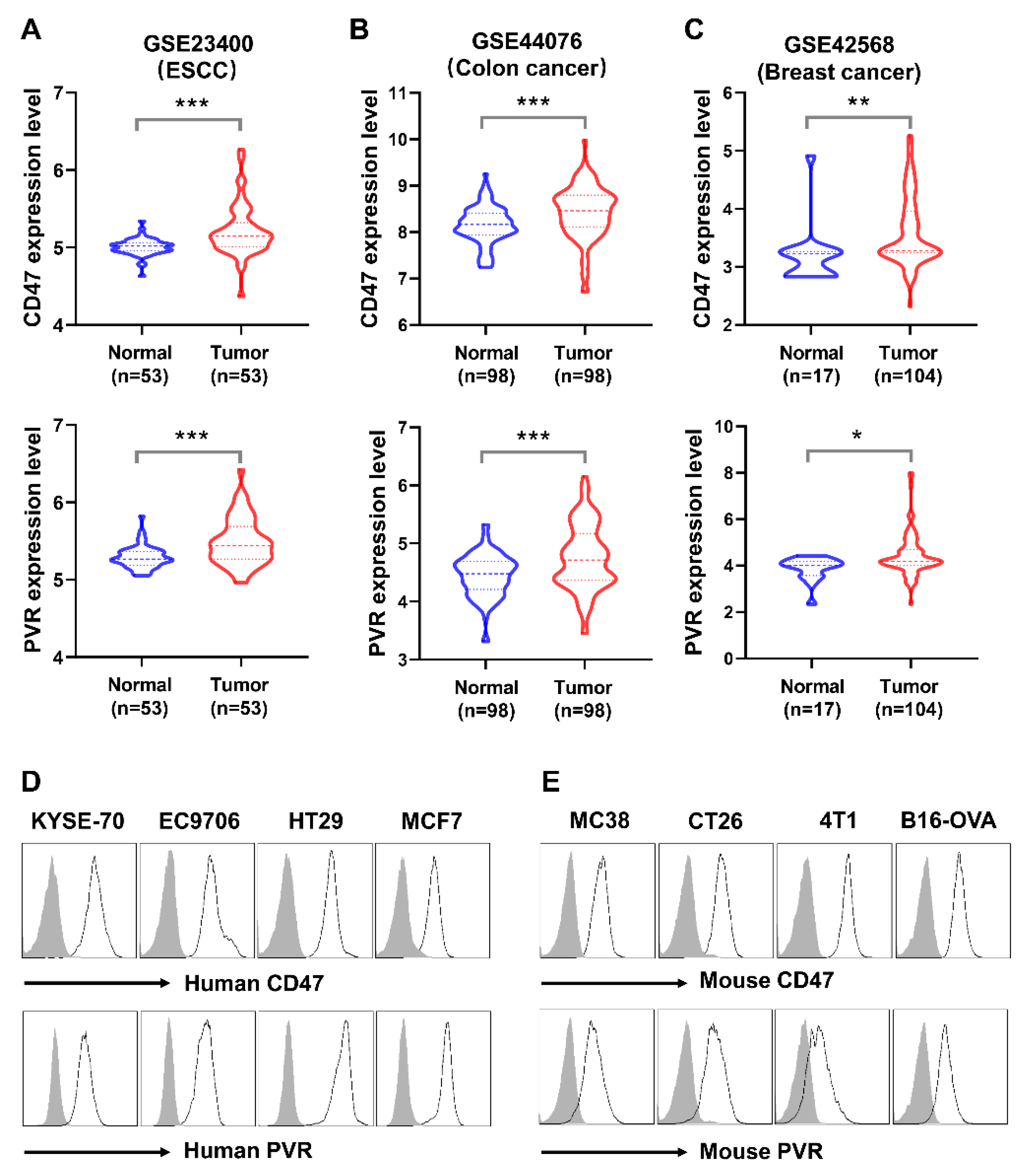 Biomolecules 11 00706 g001 Biomolecules 11 00706 g001