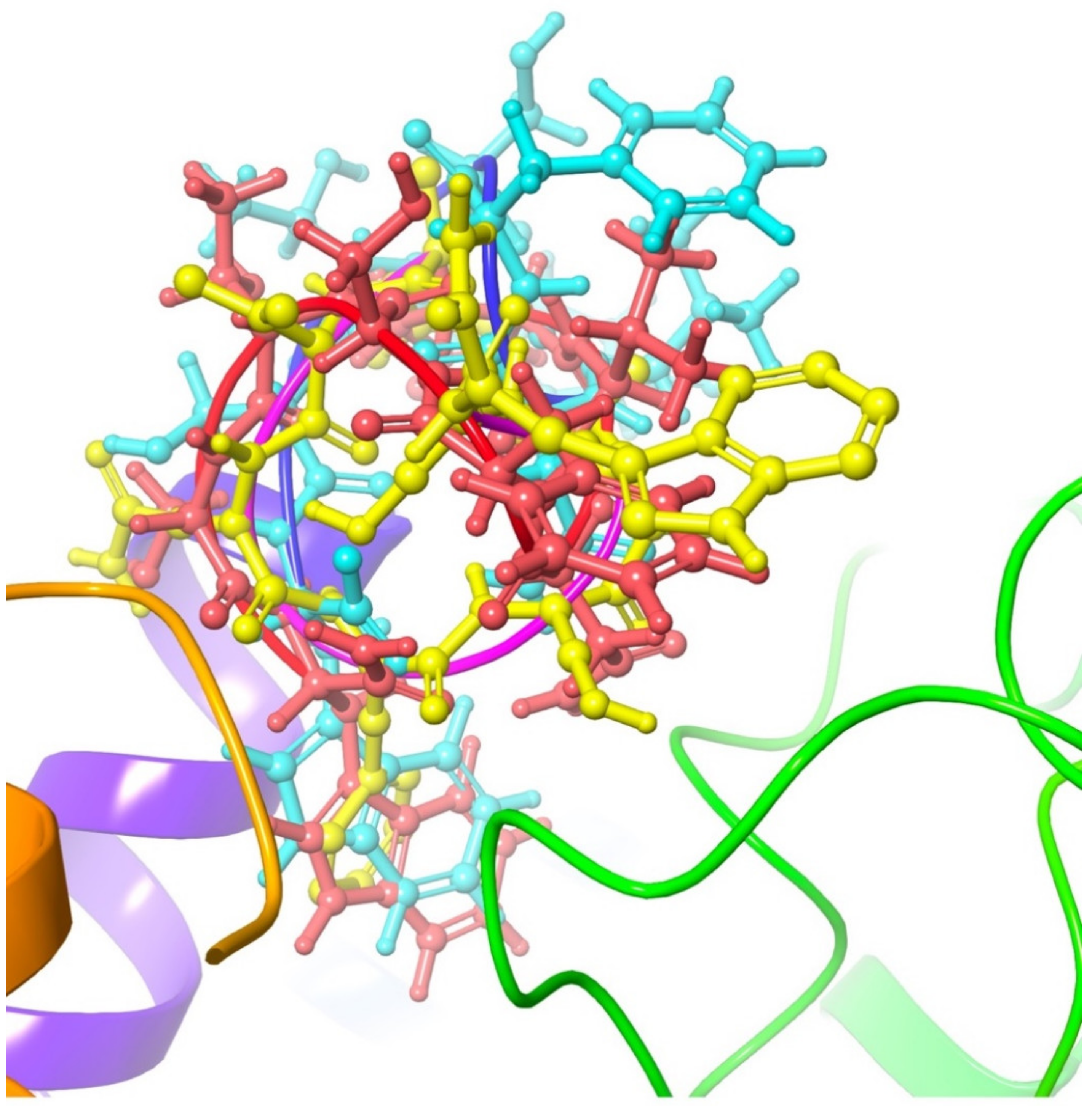 Biomolecules 11 00710 g005 Biomolecules 11 00710 g005