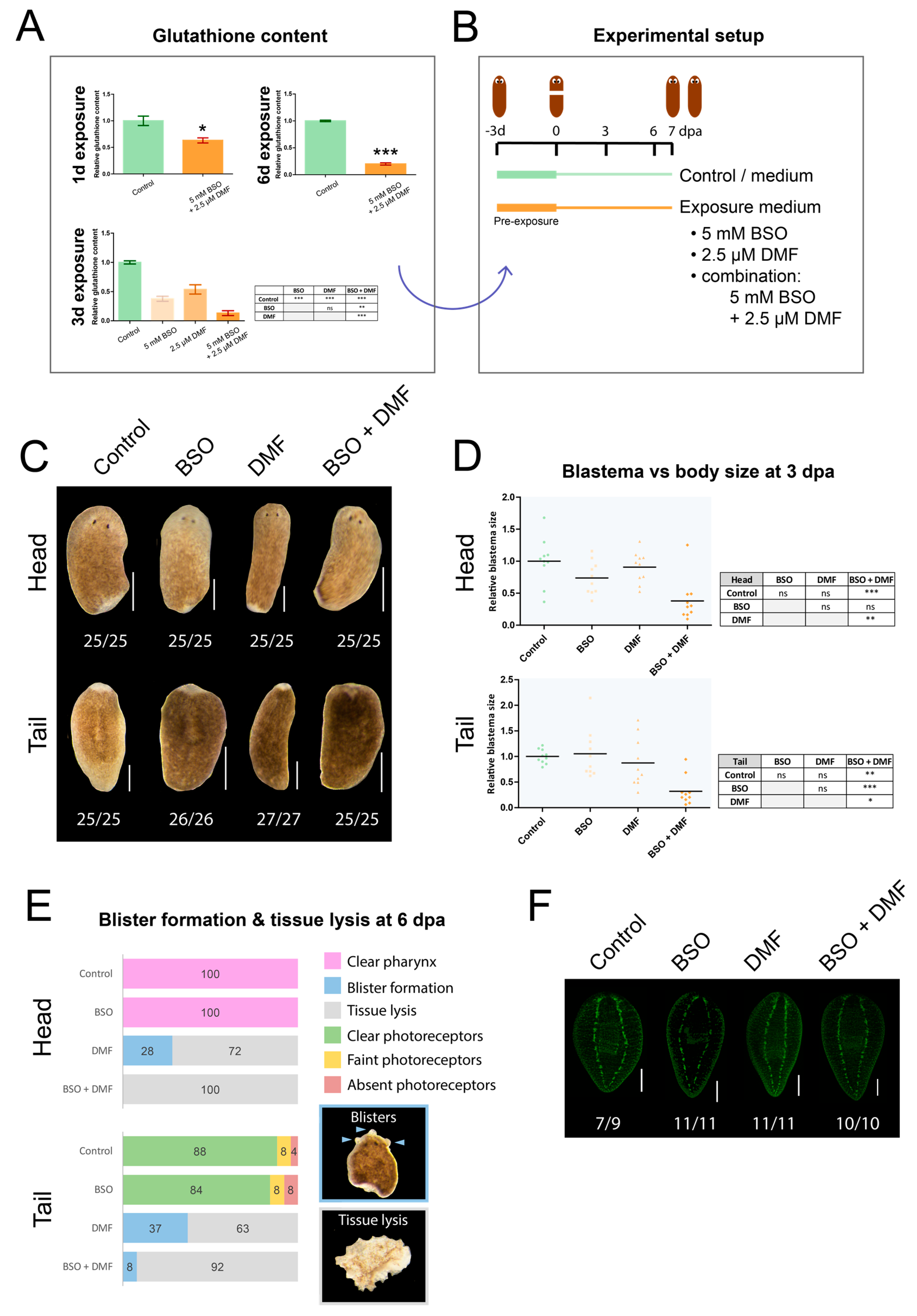 Biomolecules 11 00714 g004 Biomolecules 11 00714 g004