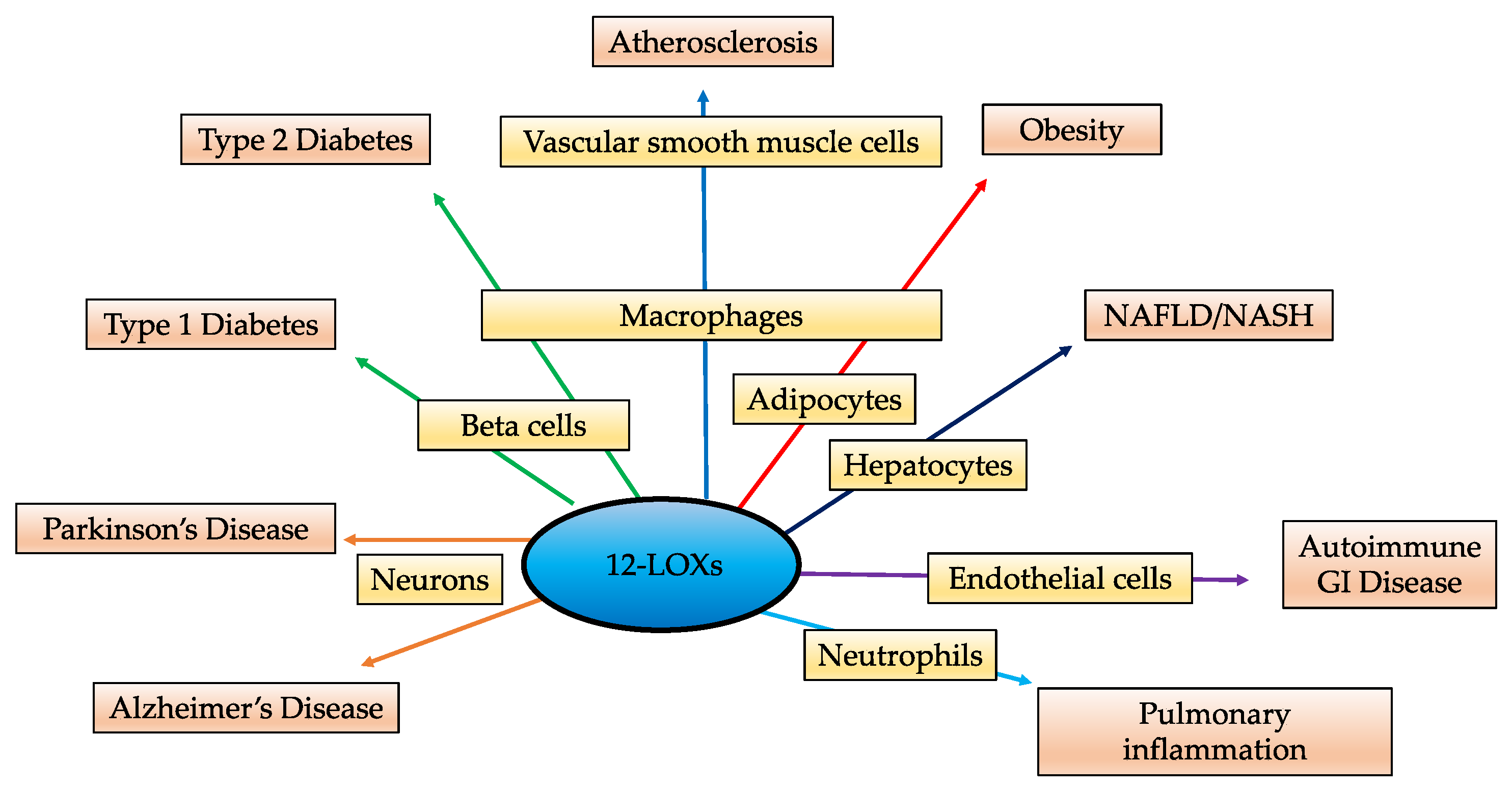 Biomolecules 11 00717 g004 Biomolecules 11 00717 g004