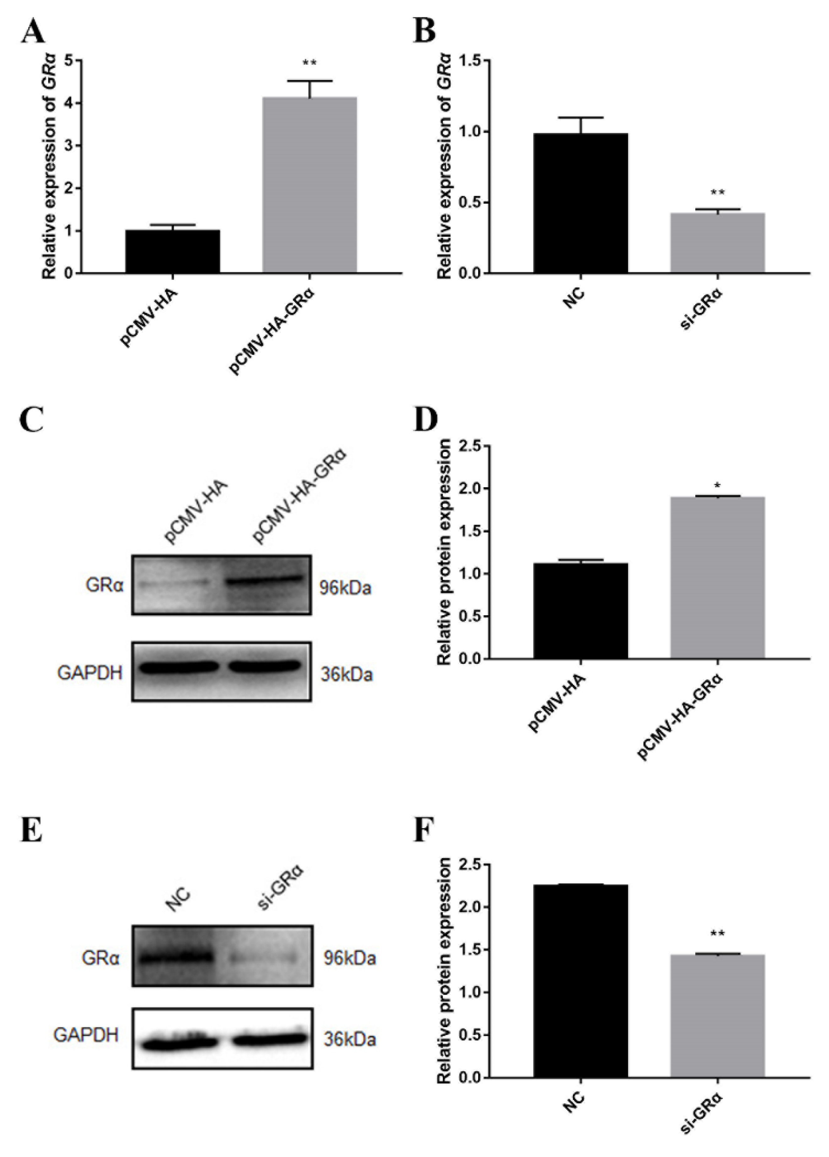 Biomolecules 11 00721 g002 Biomolecules 11 00721 g002