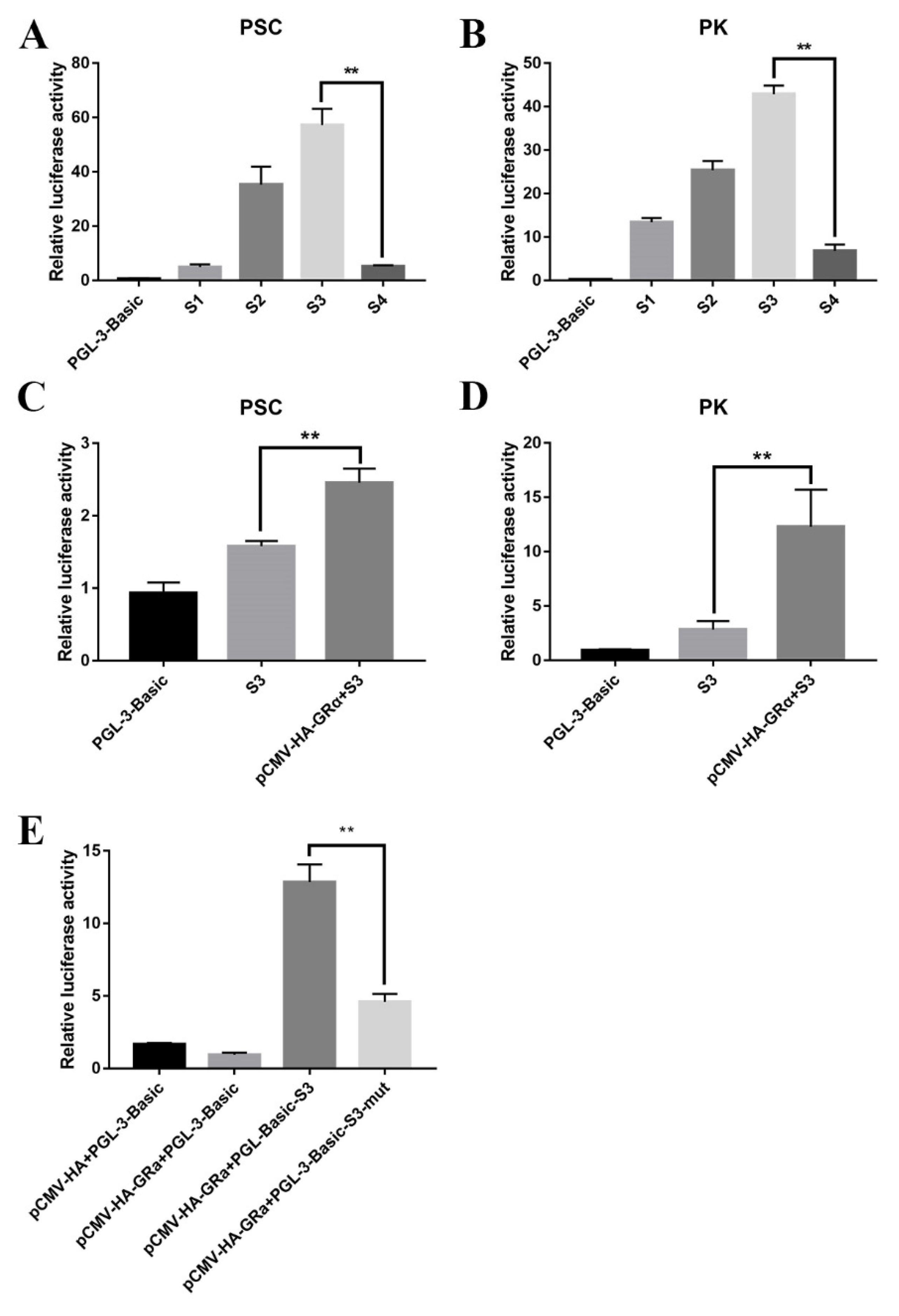 Biomolecules 11 00721 g007 Biomolecules 11 00721 g007