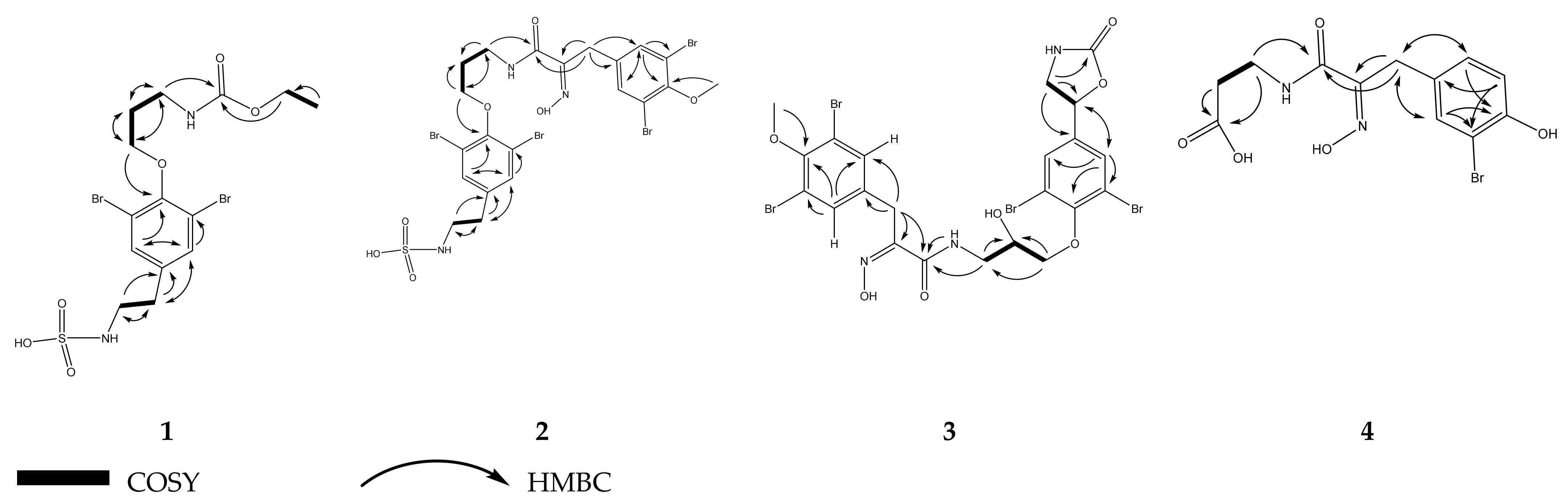 Biomolecules 11 00723 g004