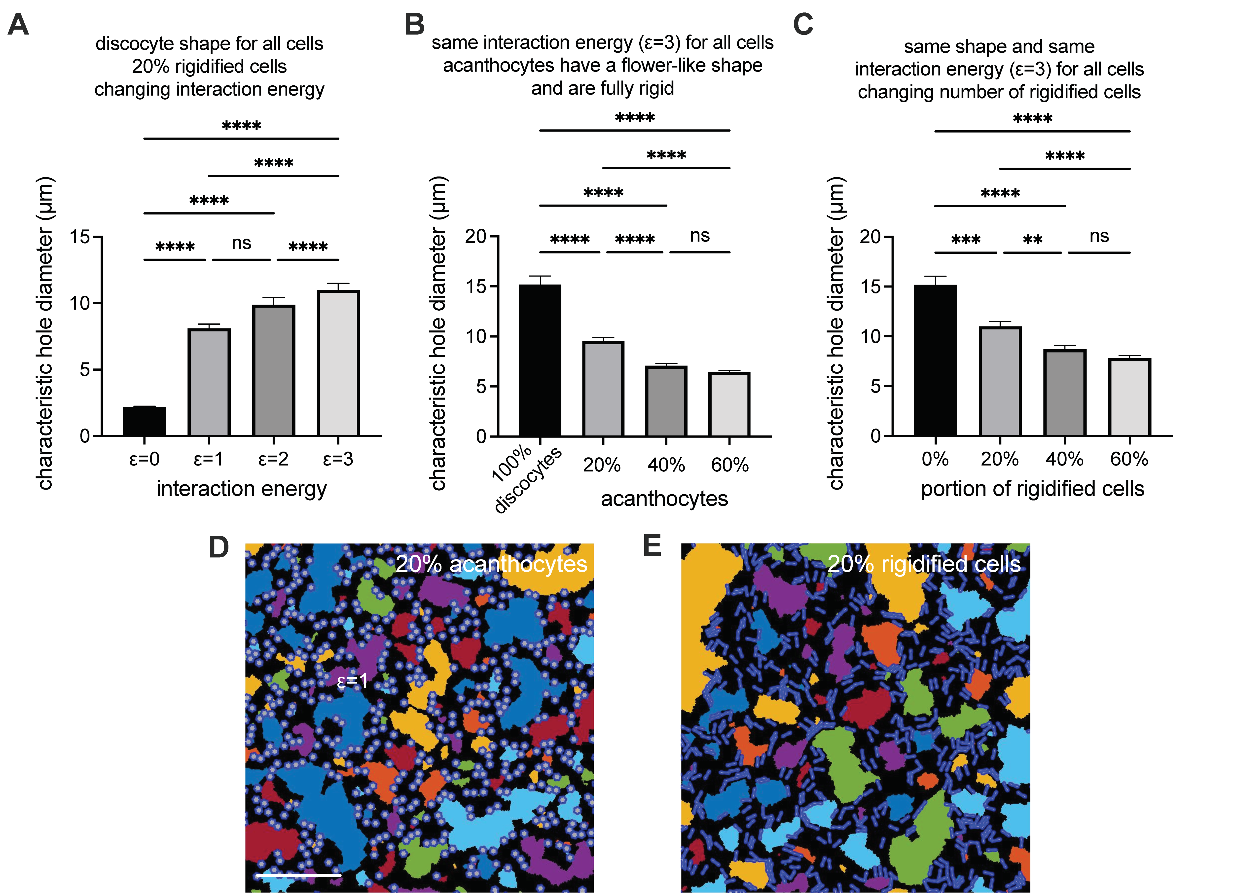 Biomolecules 11 00727 g004