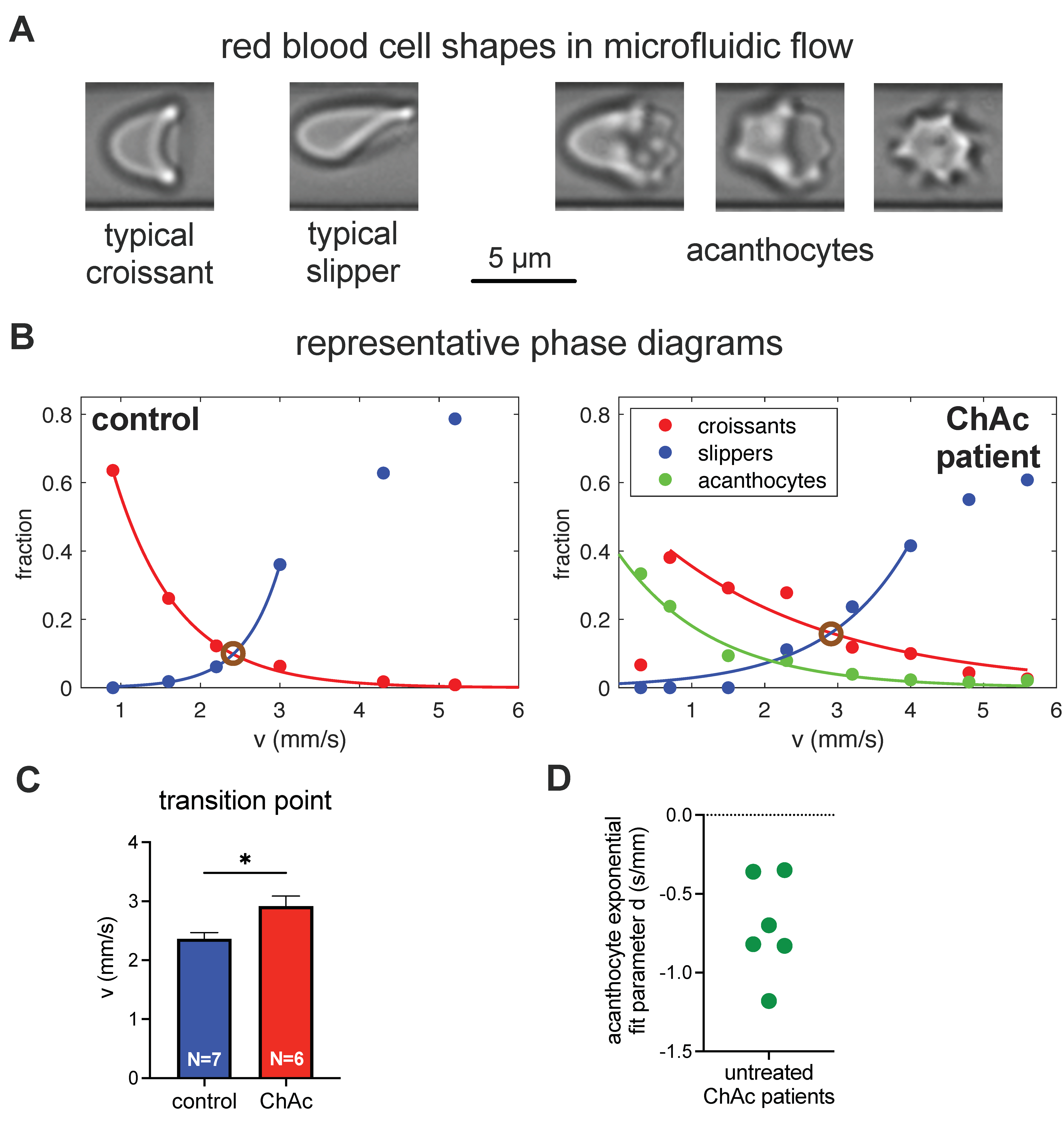 Biomolecules 11 00727 g005