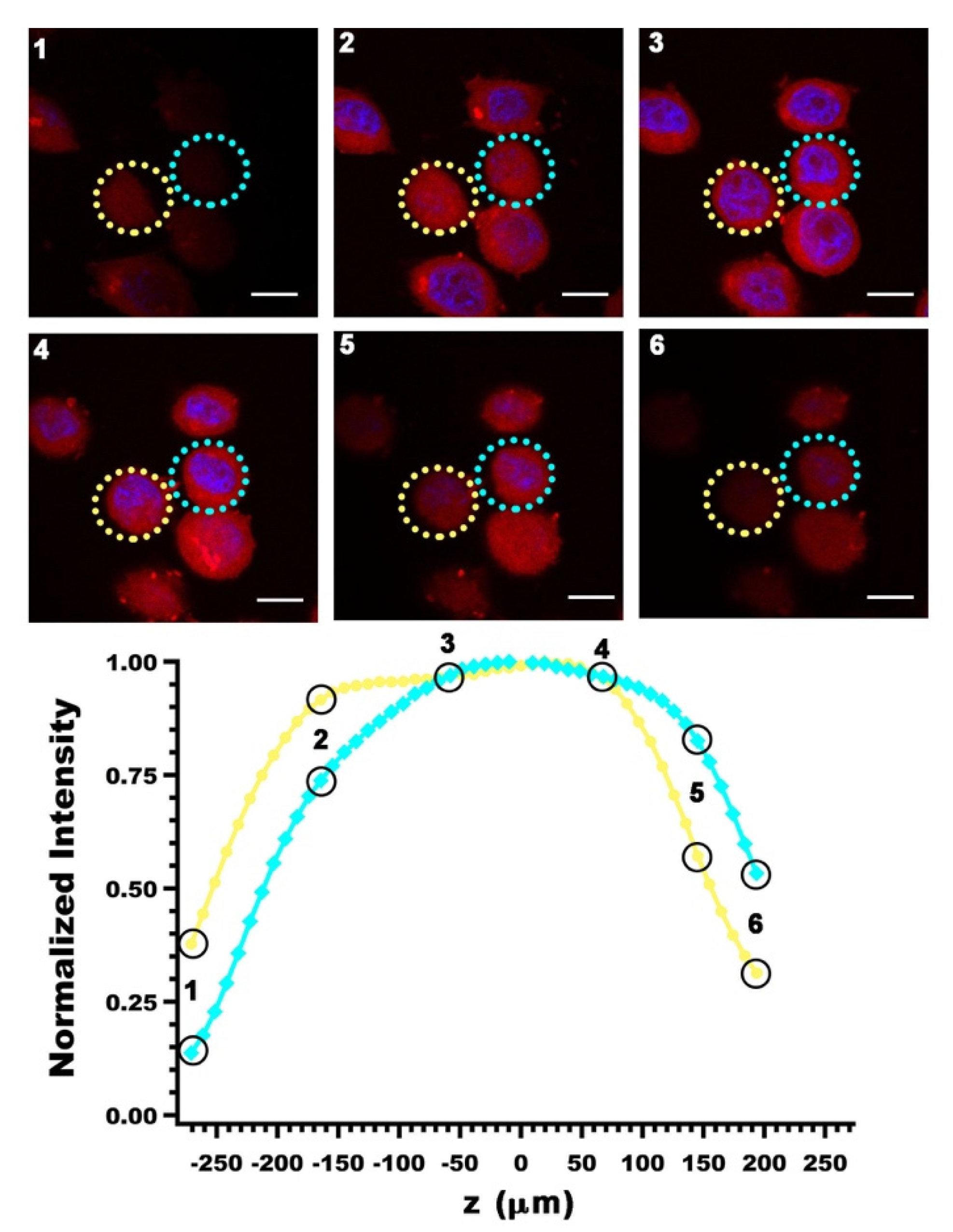 Biomolecules 11 00729 g004