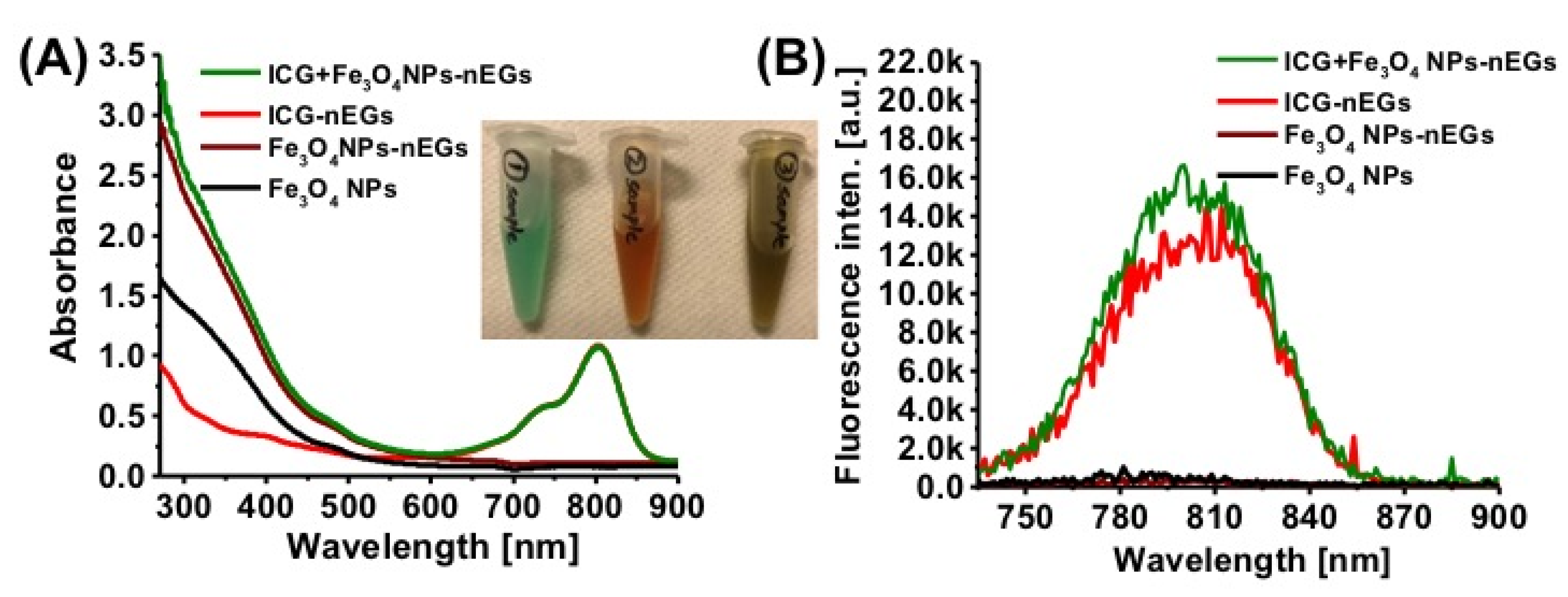 Biomolecules 11 00729 g006