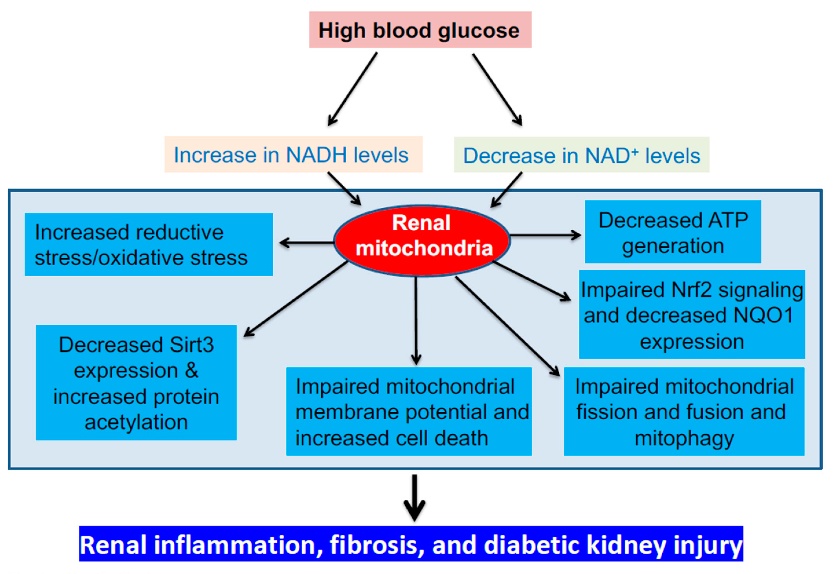 Biomolecules 11 00730 g005