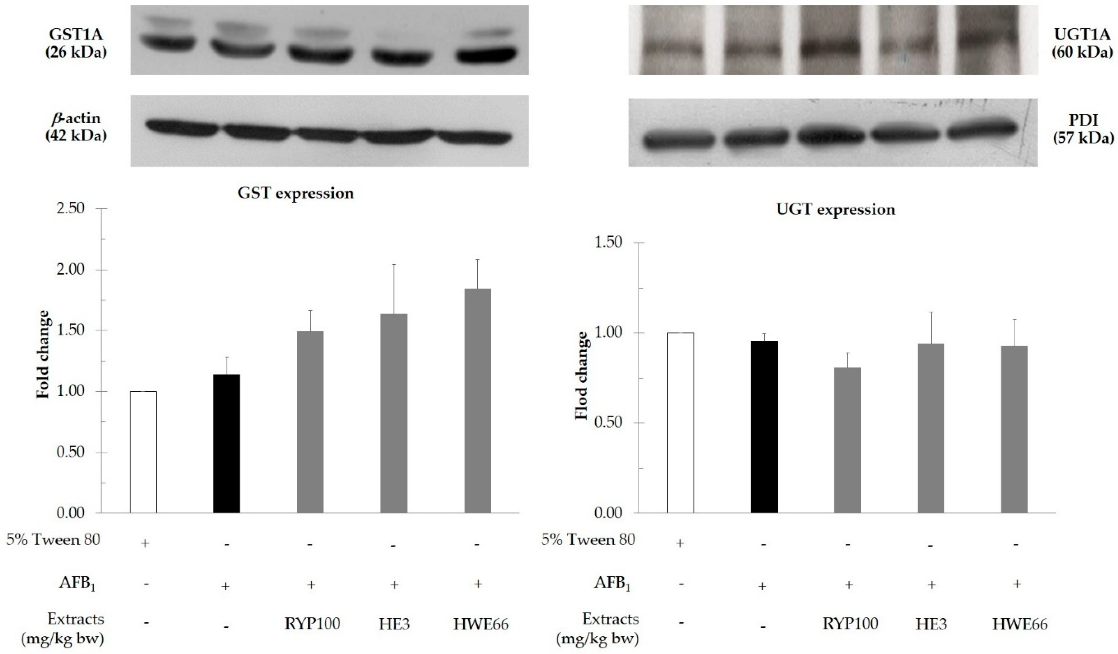Biomolecules 11 00734 g004